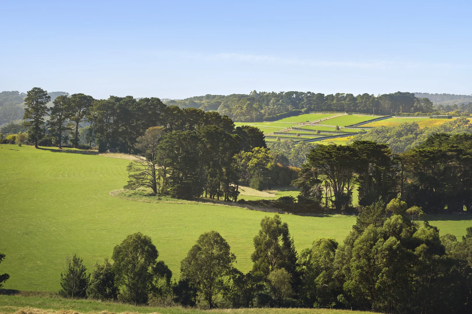 Additional image 2 of 350 Barkers Road, Main Ridge VIC 3928