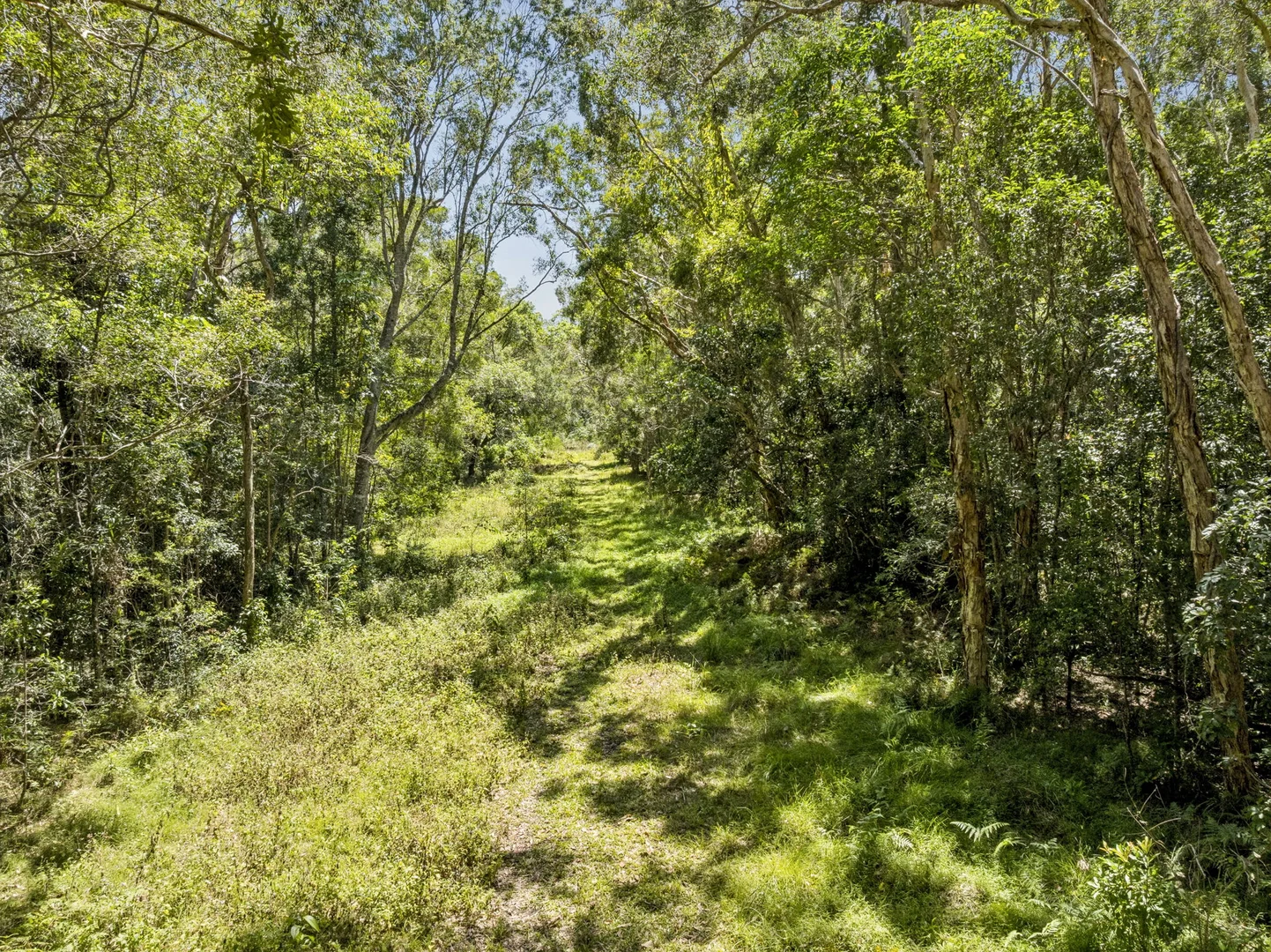 Additional image 7 of 157 Maximillian Road, Noosa North Shore QLD 4565