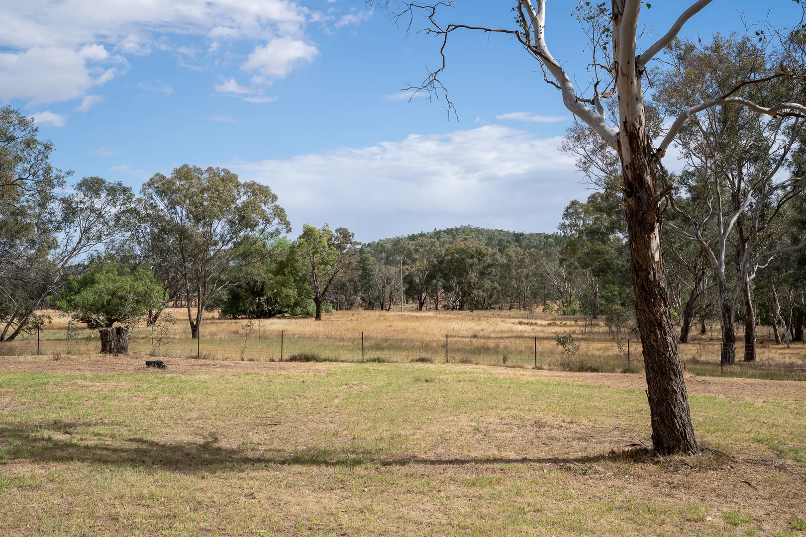 Additional image 13 of 328 Pinecliffe Road, Molong NSW 2866
