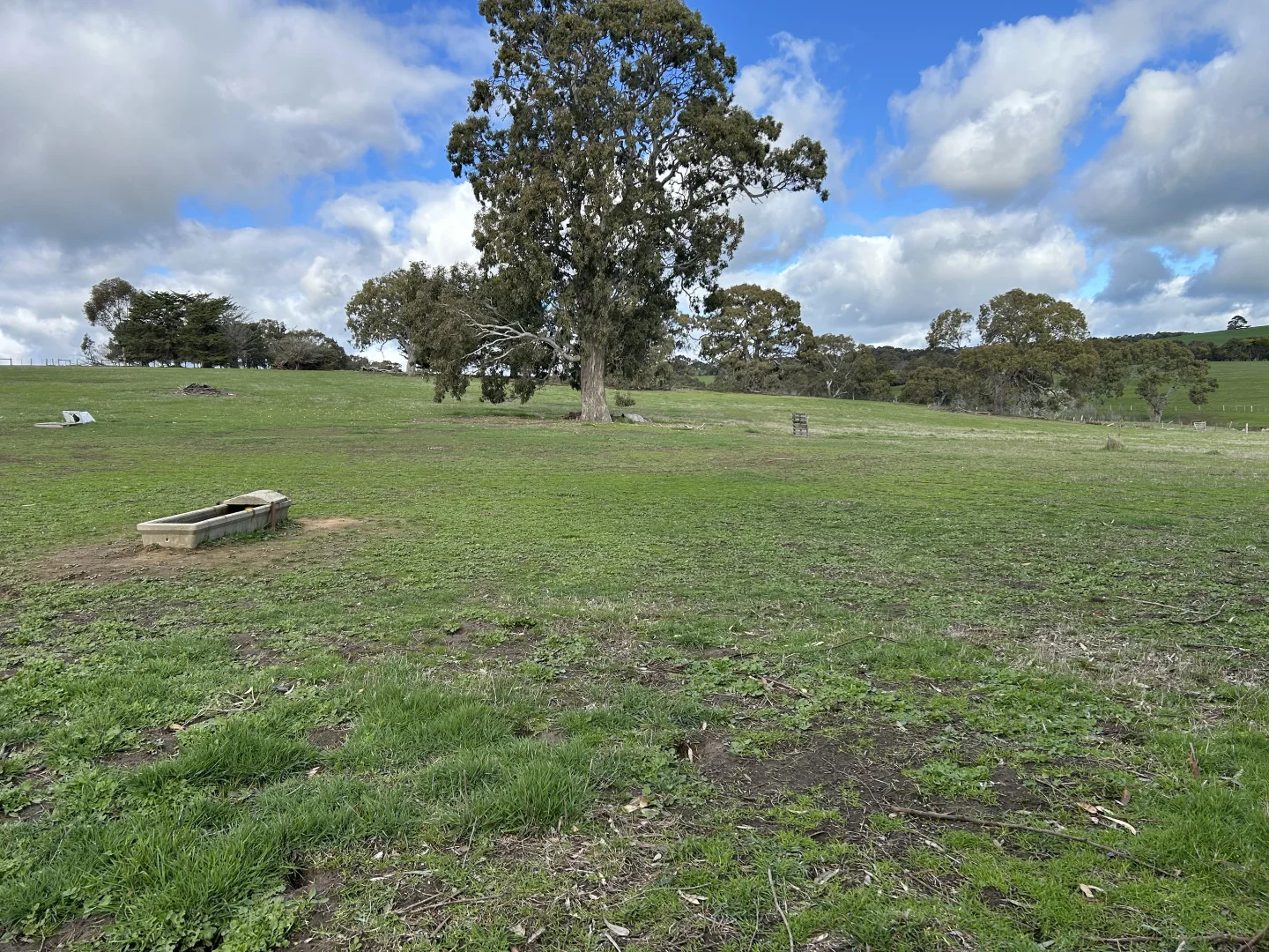 Additional image 16 of 20-38 & 35 Brady street, Glenthompson VIC 3293