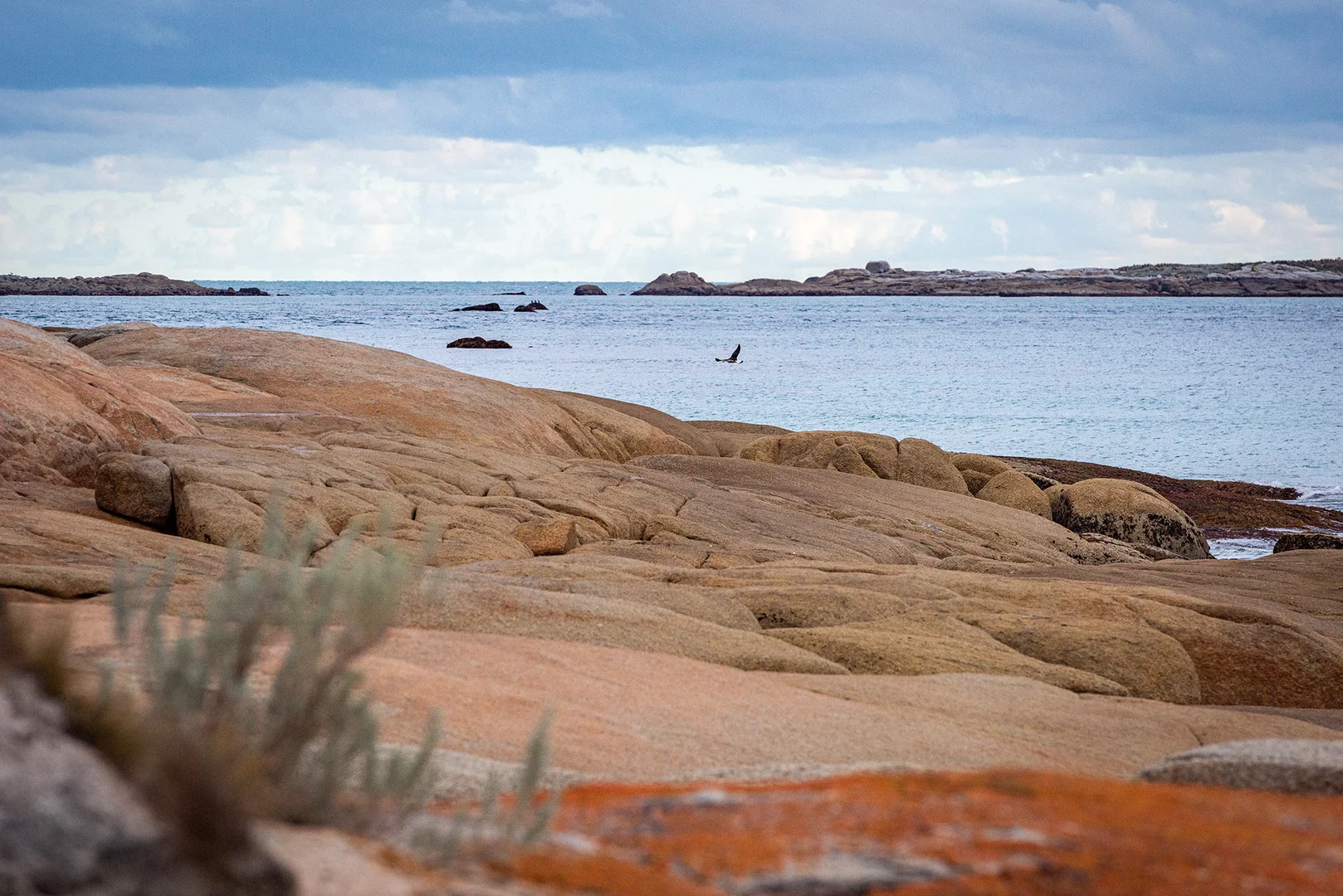 Additional image 4 of Lot 3 Boat Harbour Road, Killiecrankie TAS 7255