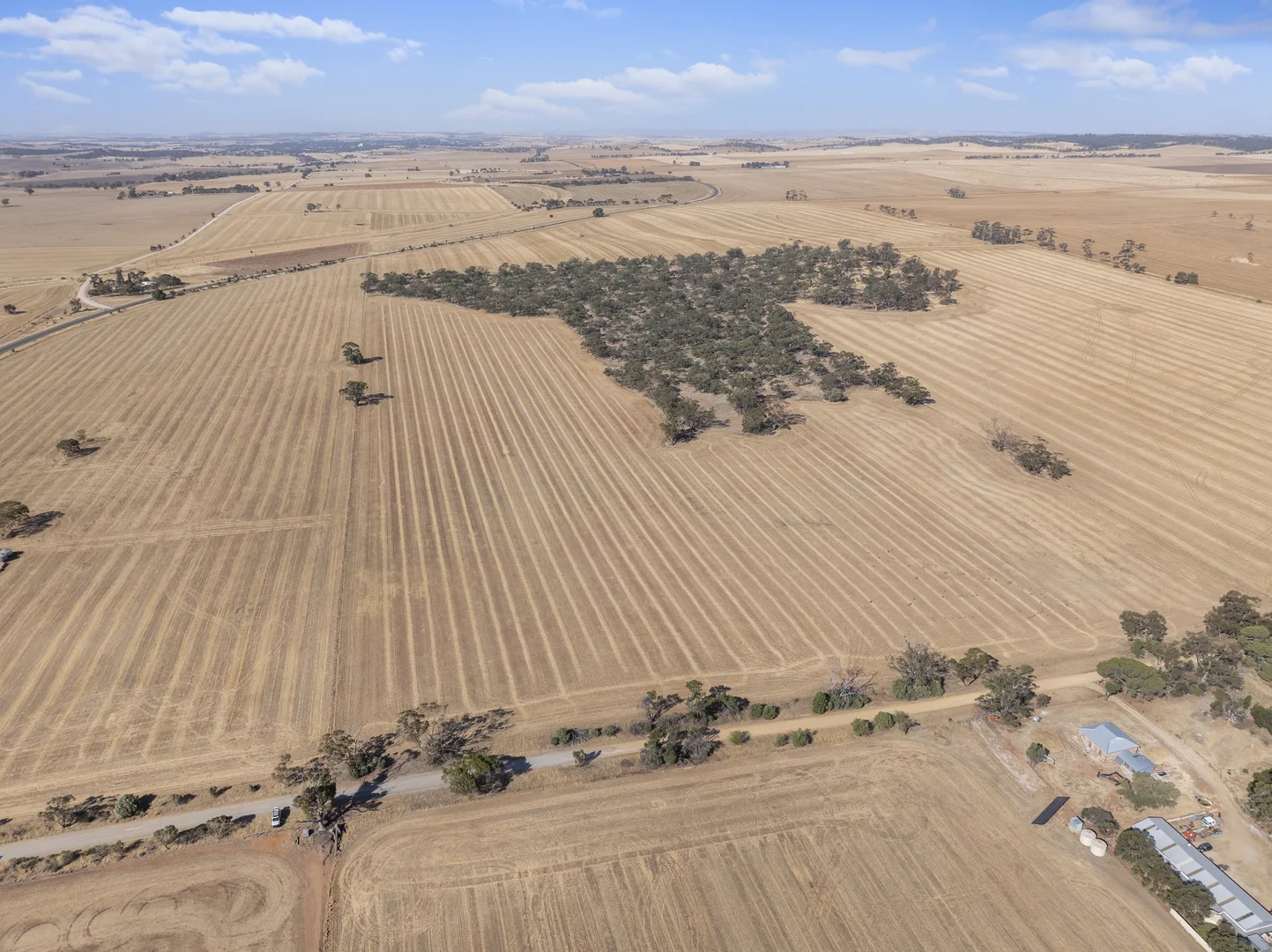 Additional image 15 of 'Leske Farm' Thiele Highway, Freeling SA 5372