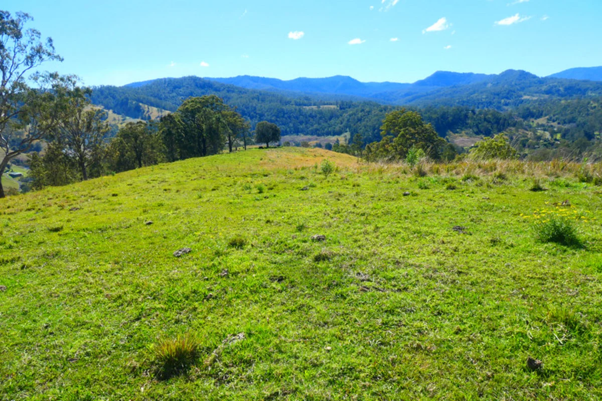 Additional image 36 of 602 Gradys Creek Road, Kyogle NSW 2474