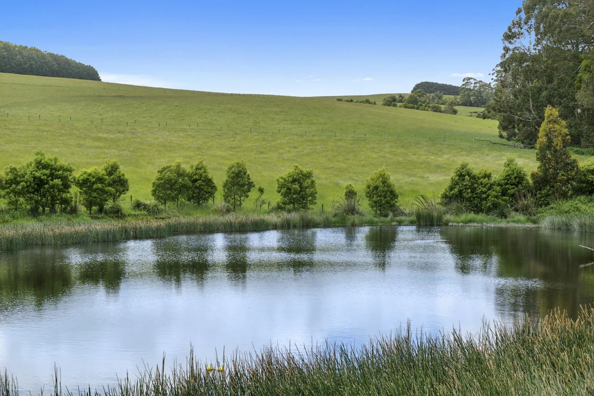 Additional image 6 of 4230 Colac-Lavers Hill Road, Weeaproinah VIC 3237