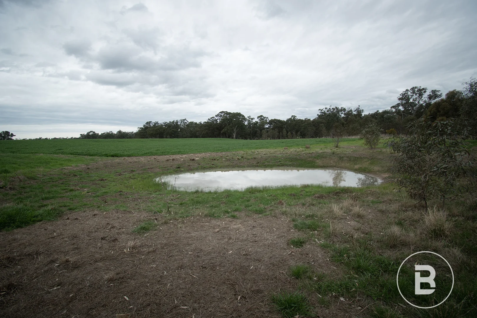 Additional image 18 of 174 Timor Bromley Road, Timor VIC 3465
