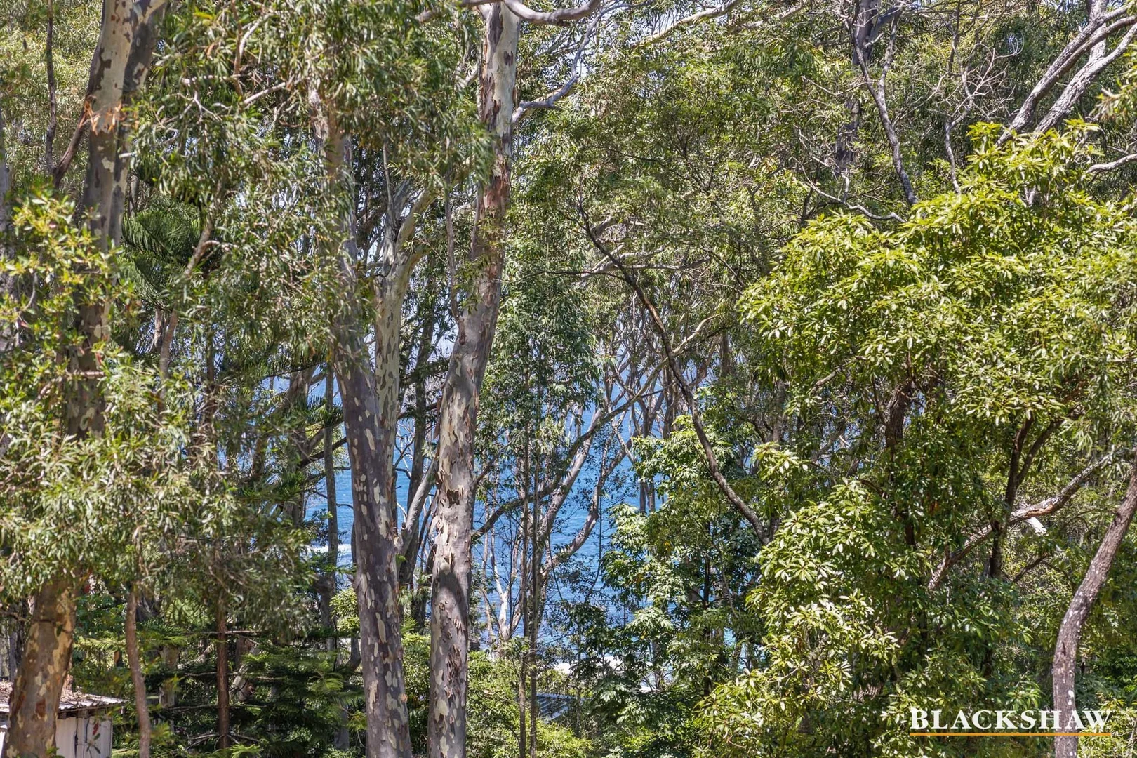 Additional image 4 of 44 and 46 Knowlman Road, Rosedale NSW 2536