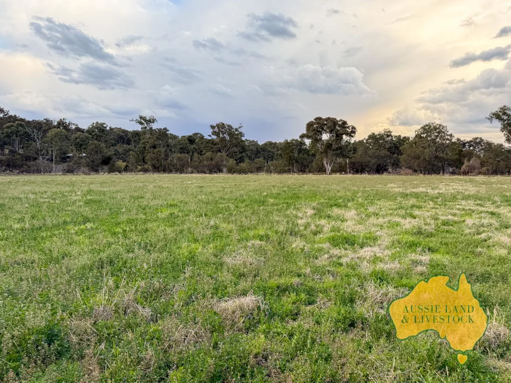 Additional image 55 of 250 Heights Road, Nanango QLD 4615