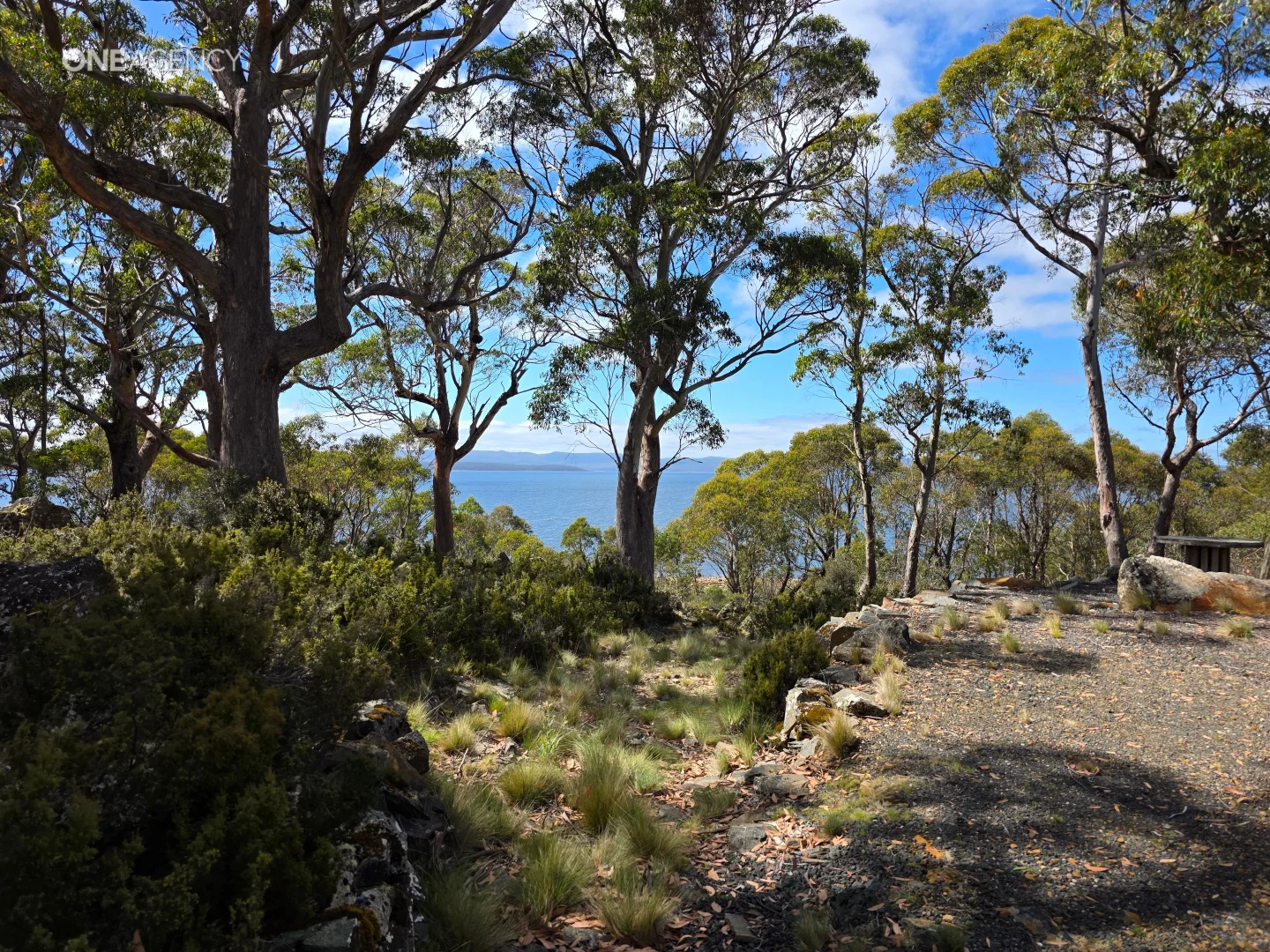 Additional image 6 of 9 Tomray Drive, Brandum TAS 7304