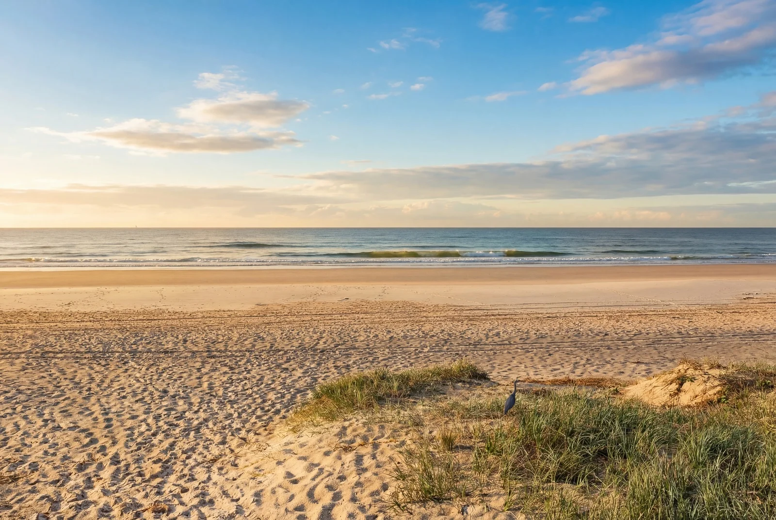 Additional image 27 of 2/1433 Gold Coast Highway, Palm Beach QLD 4221