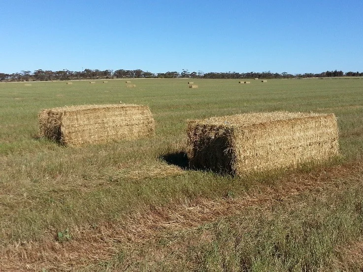 Additional image 3 of Lot 1, 905 Ngallo Road, Carina VIC 3512