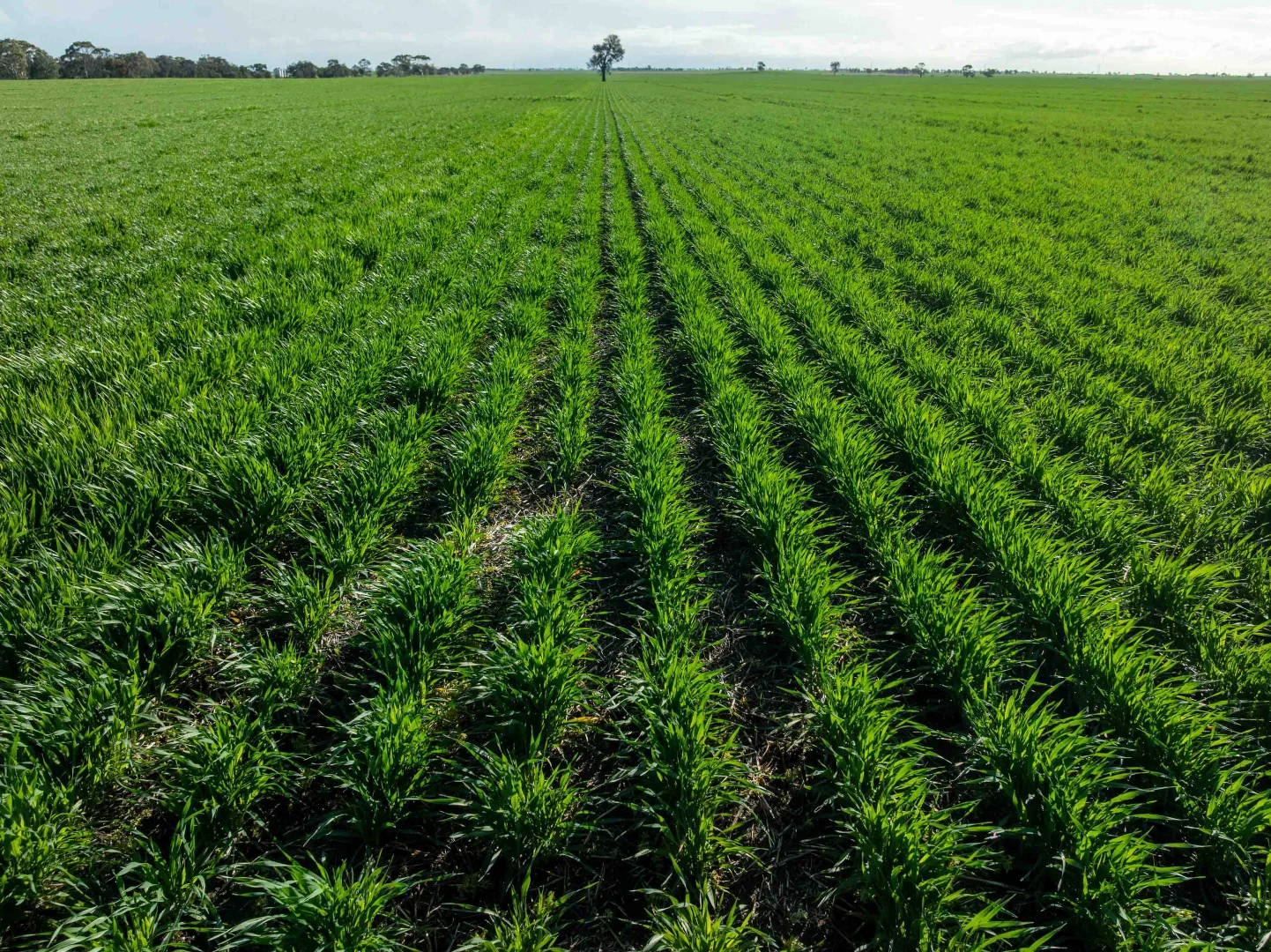 Additional image 2 of Jung VIC 3401