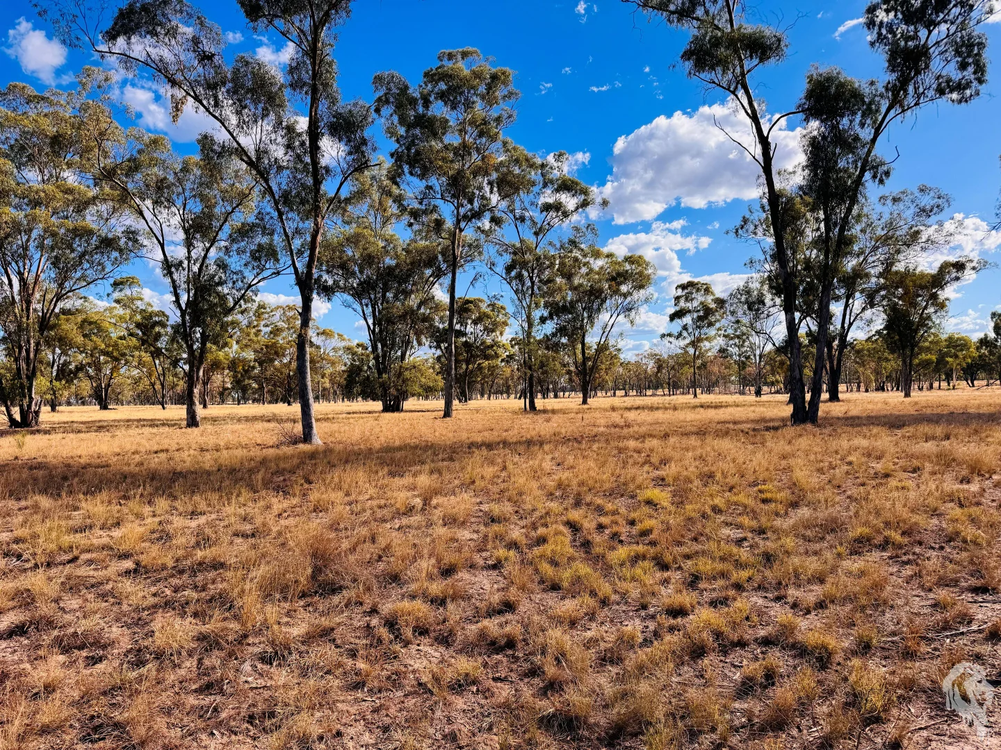 Additional image 37 of 10402 Newell Highway, Jacks Creek NSW 2390