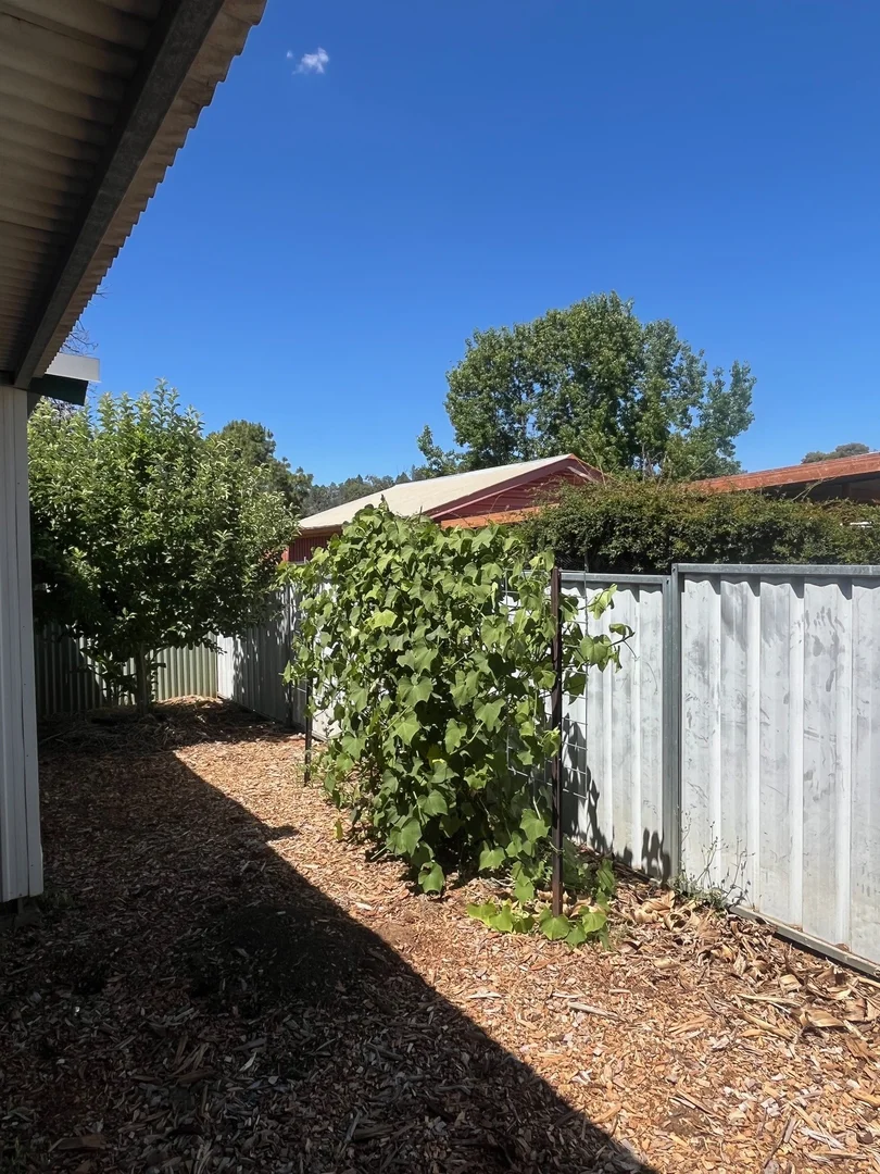 Additional image 26 of 20 Barker Street, Coonabarabran NSW 2357