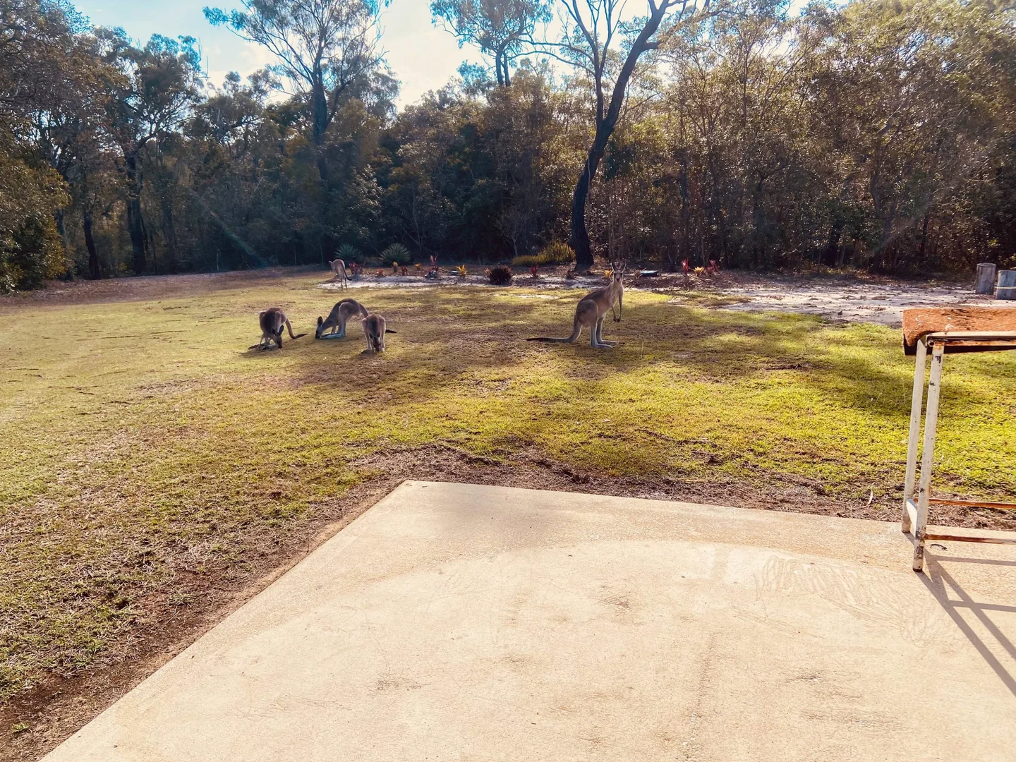 Additional image 10 of 182 Rafting Ground Road, Agnes Water QLD 4677