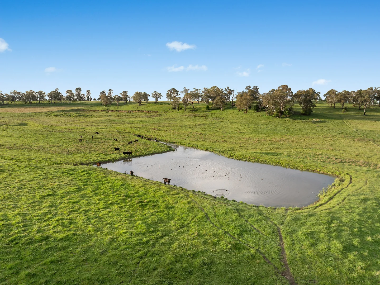 Additional image 40 of 142 Beasley Road, Orange NSW 2800