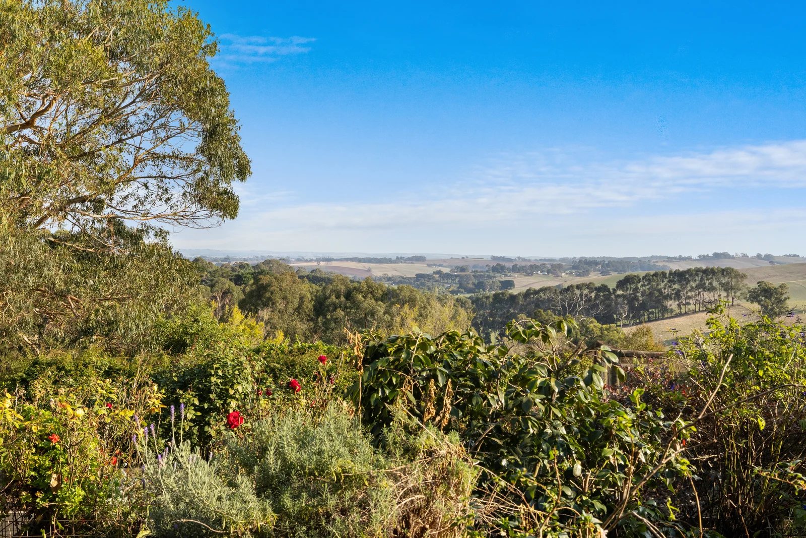 Additional image 3 of 405 Leongatha North Road, Leongatha North VIC 3953