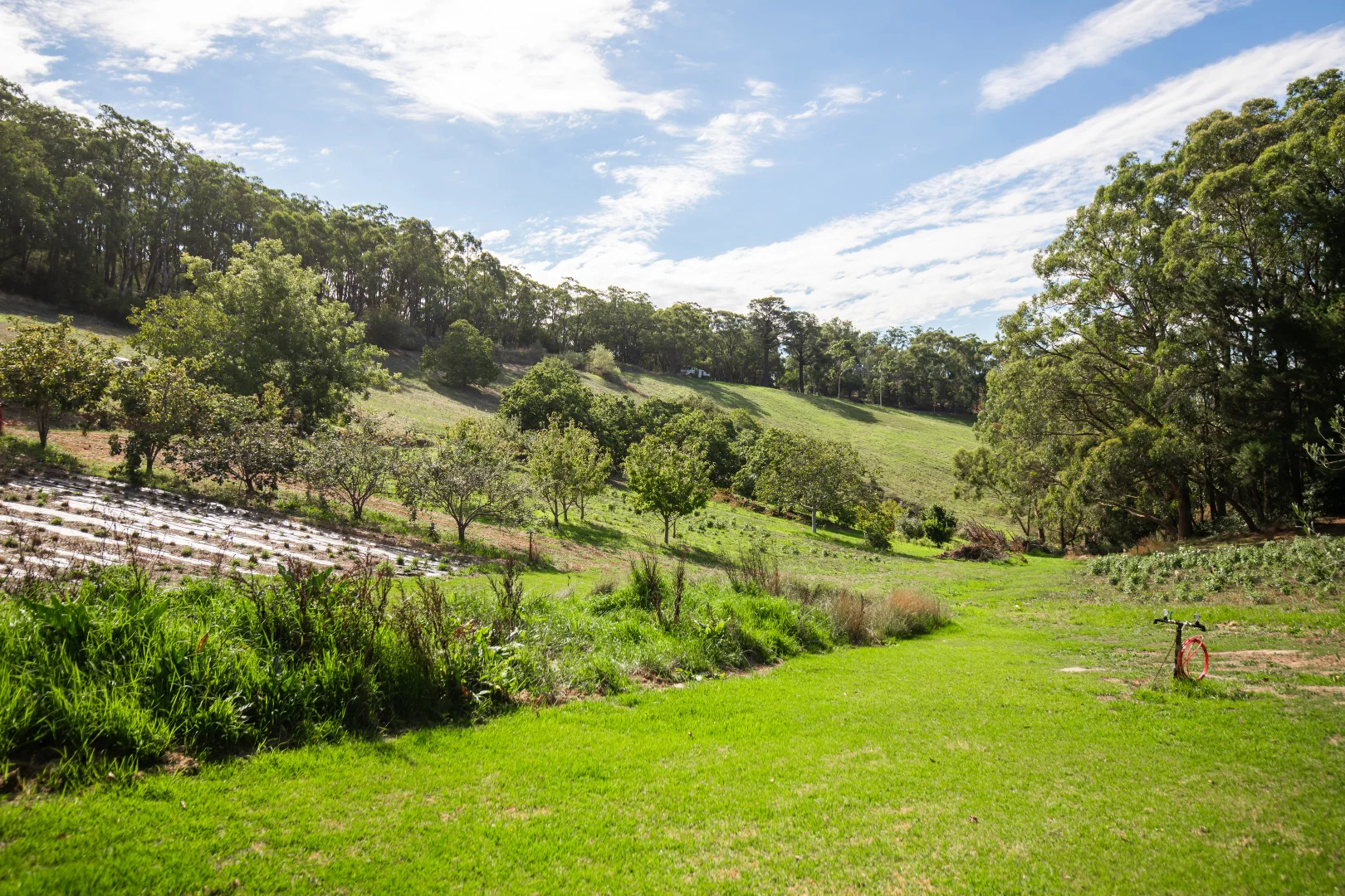 Additional image 18 of 290 Woods Hill Road, Ashton SA 5137