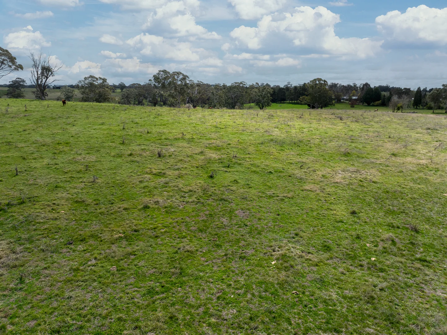 Additional image 30 of 584 Huntley Road, Orange NSW 2800