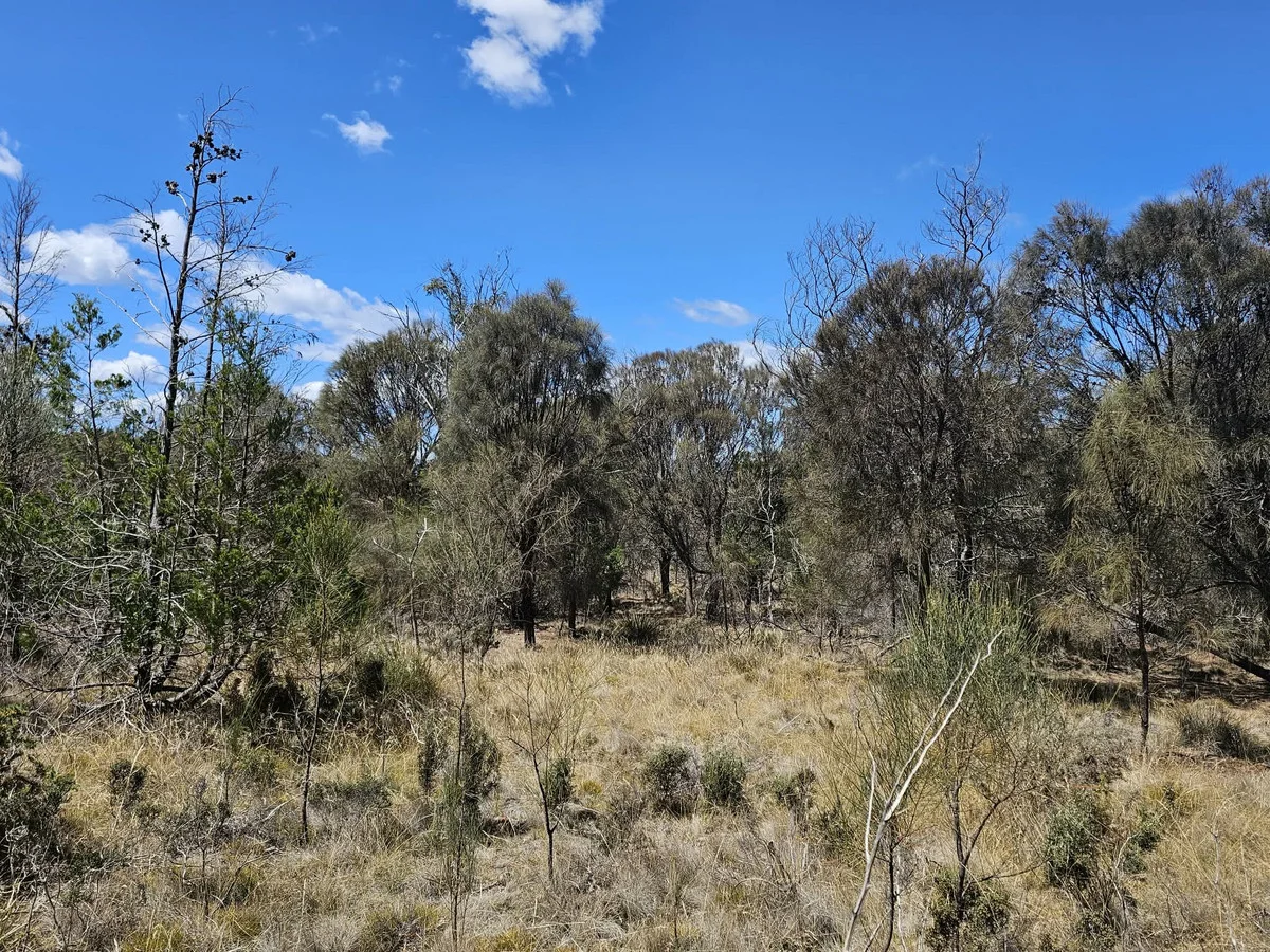 Additional image 6 of 3/5 Addison Street, Swansea TAS 7190