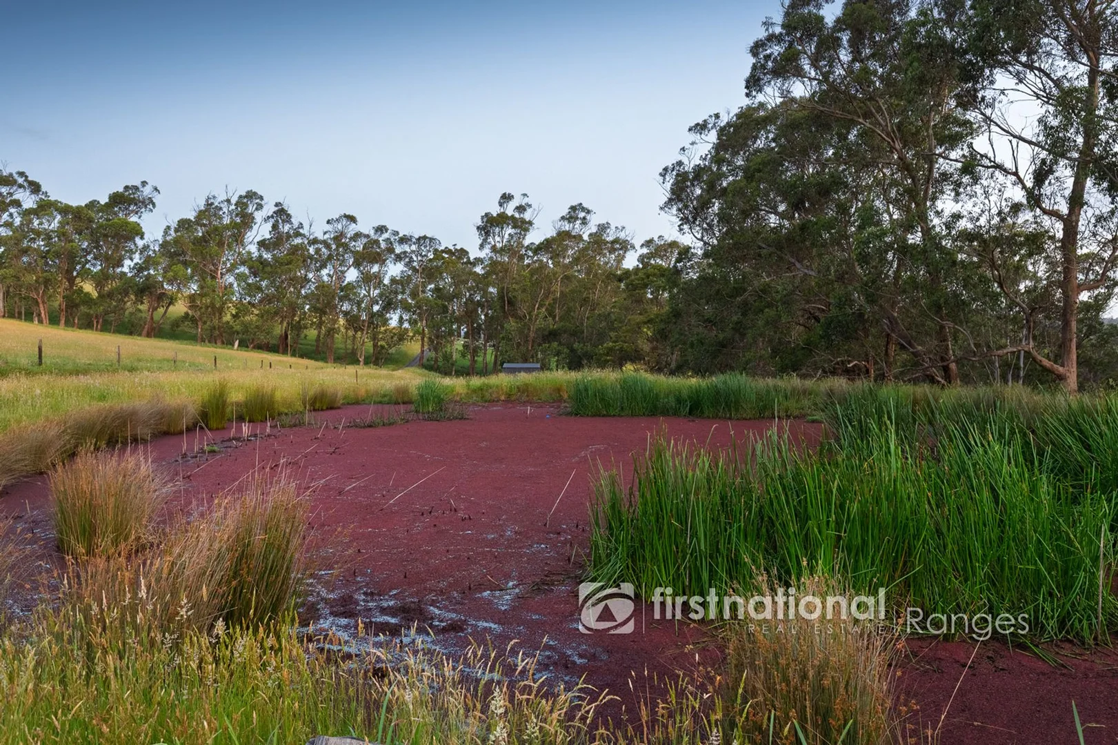 Additional image 21 of 8 Kennedy Road, Avonsleigh VIC 3782