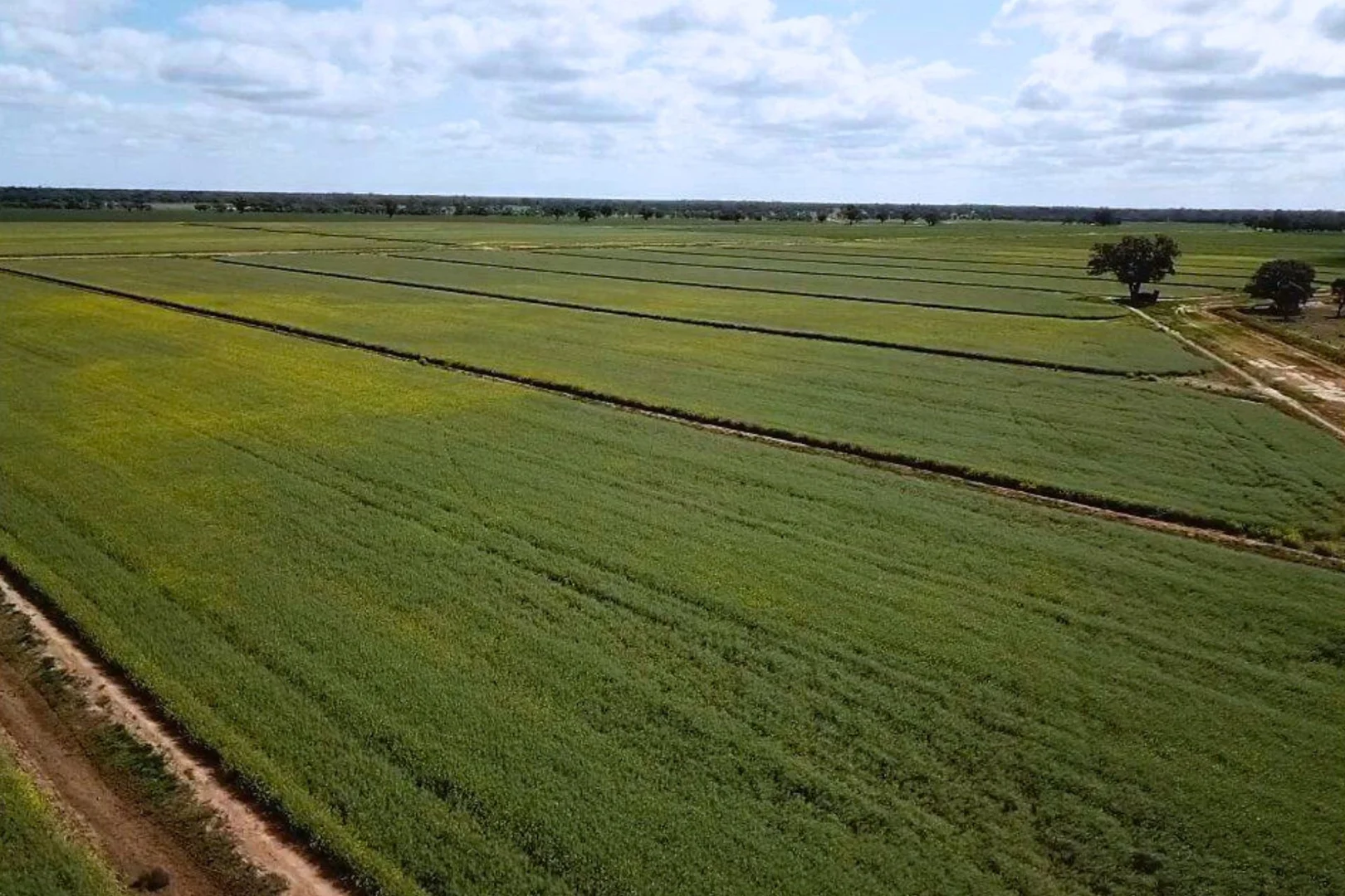 Additional image 8 of Perricoota, Bunnaloo NSW 2731