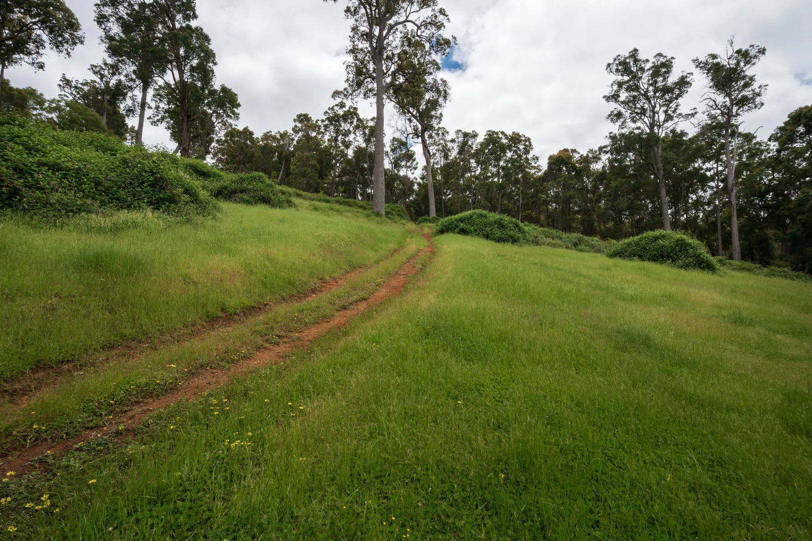 Additional image 7 of Lot 4 Kammann Road (Upper Warren), Manjimup WA 6258