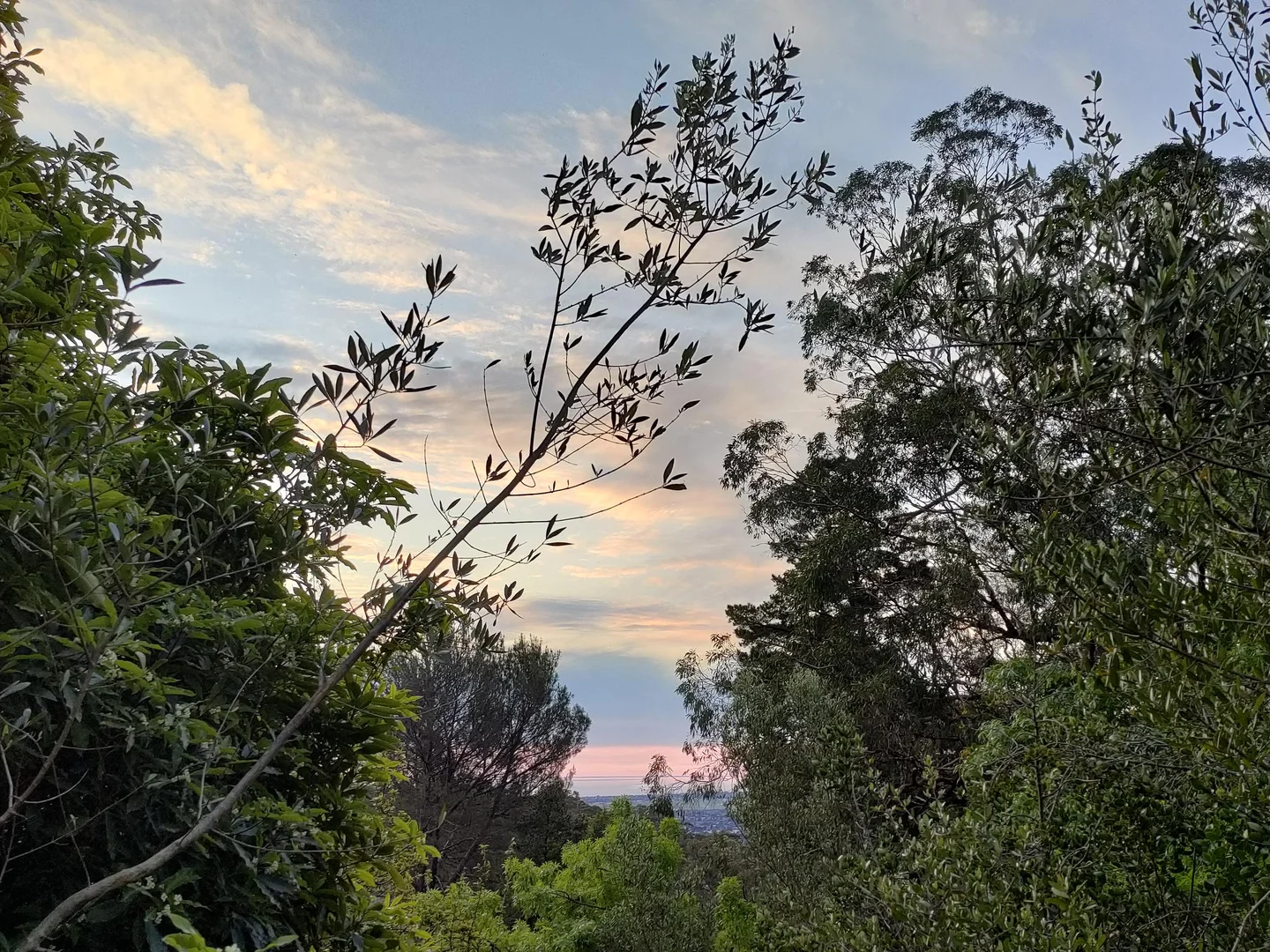 Additional image 8 of 30 Briar Grove, Belair SA 5052