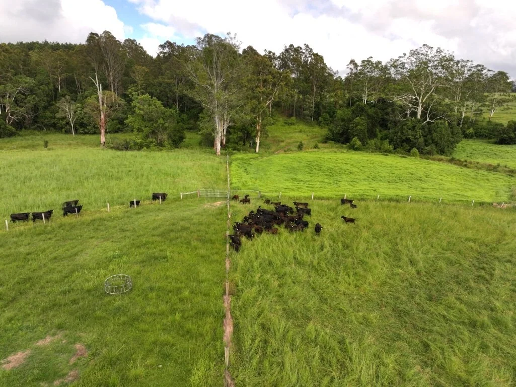 Additional image 41 of 1023 Iron Pot Creek Rd, Kyogle NSW 2474