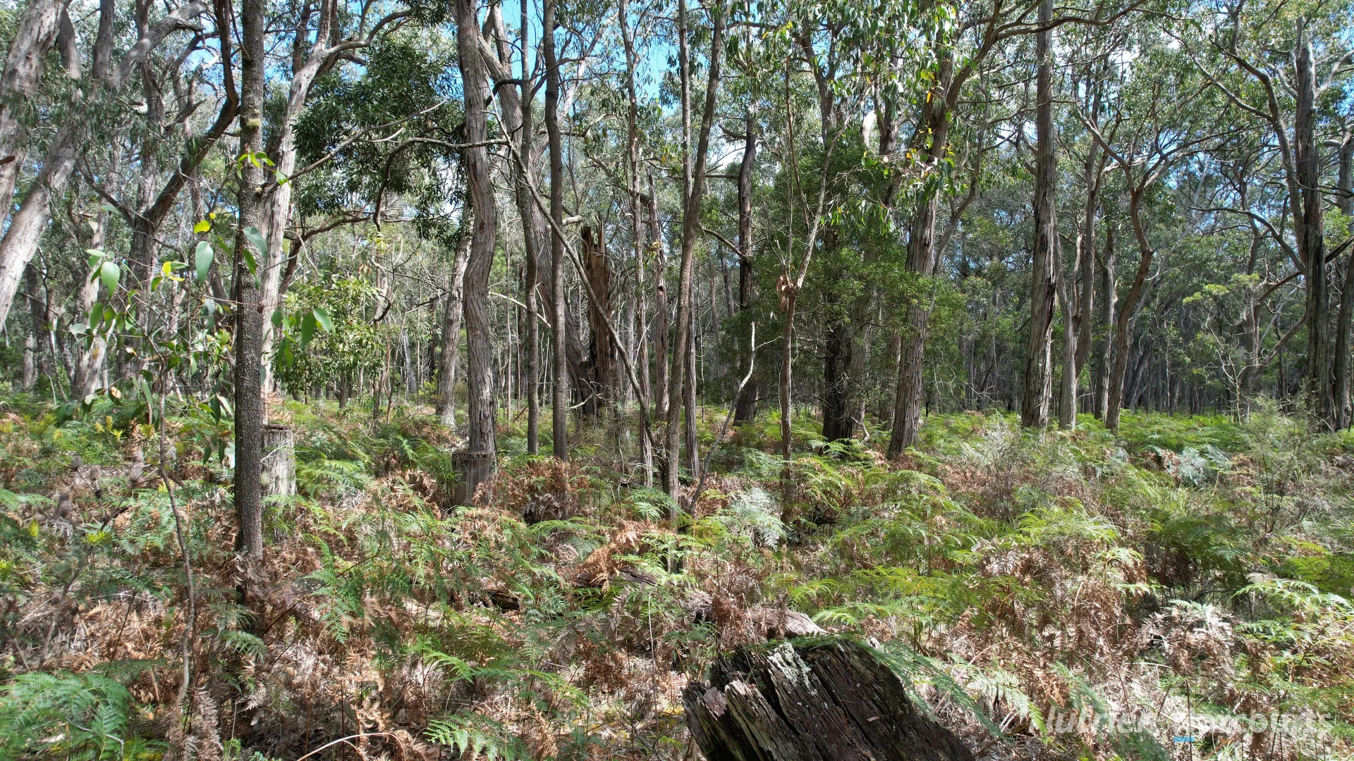 Additional image 4 of "Myamyn West" Myamyn Road, Hotspur VIC 3303