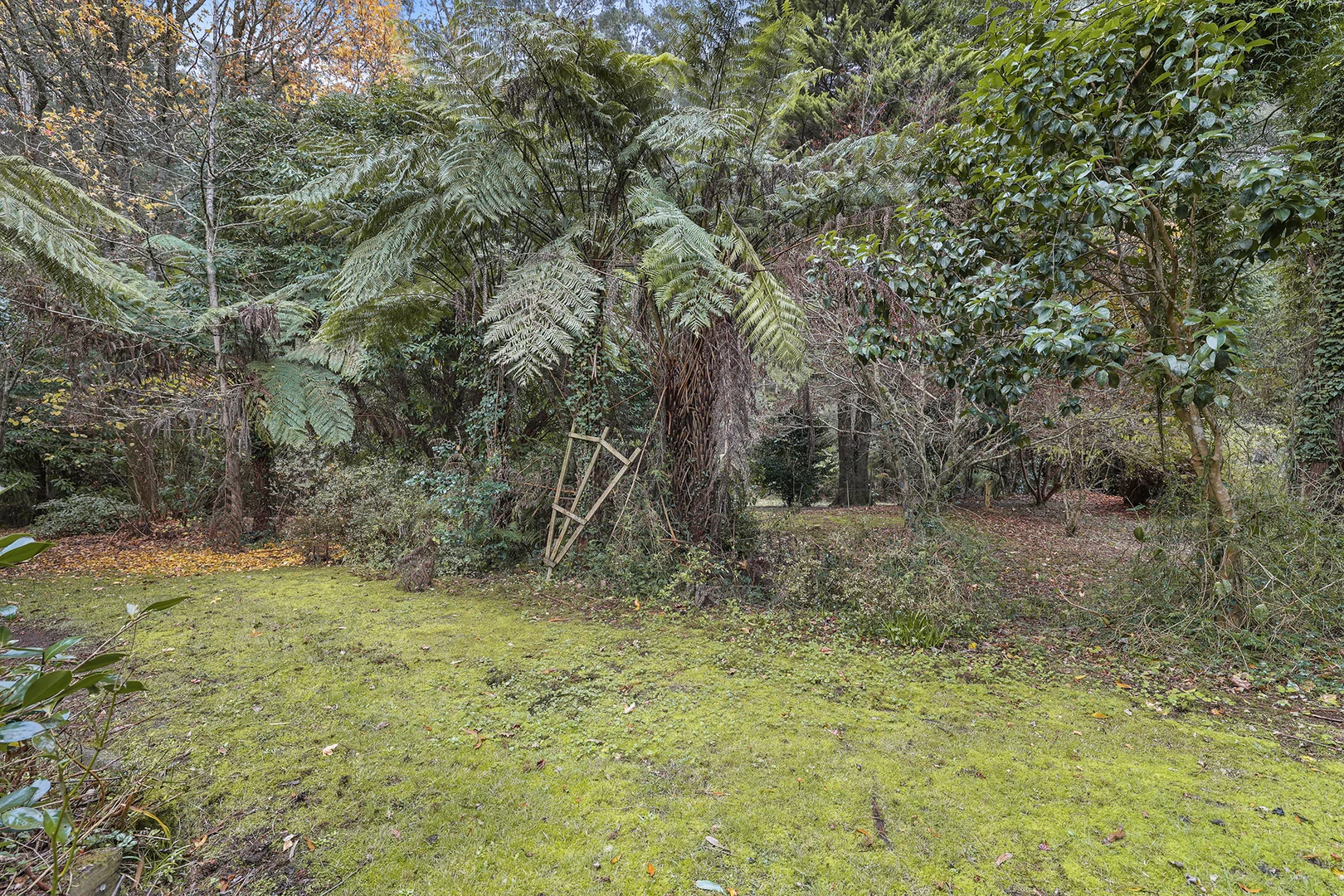 Additional image 15 of 293-295 Mt Baw Baw Tourist Road, Noojee VIC 3833