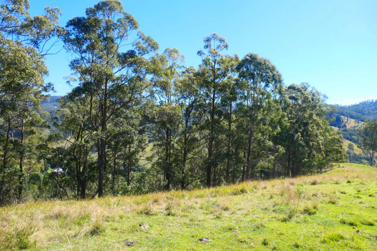 Additional image 35 of 602 Gradys Creek Road, Kyogle NSW 2474