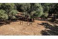 Additional image 95 of 2988 Spring Hill Dr, San Andreas, CA, 95249