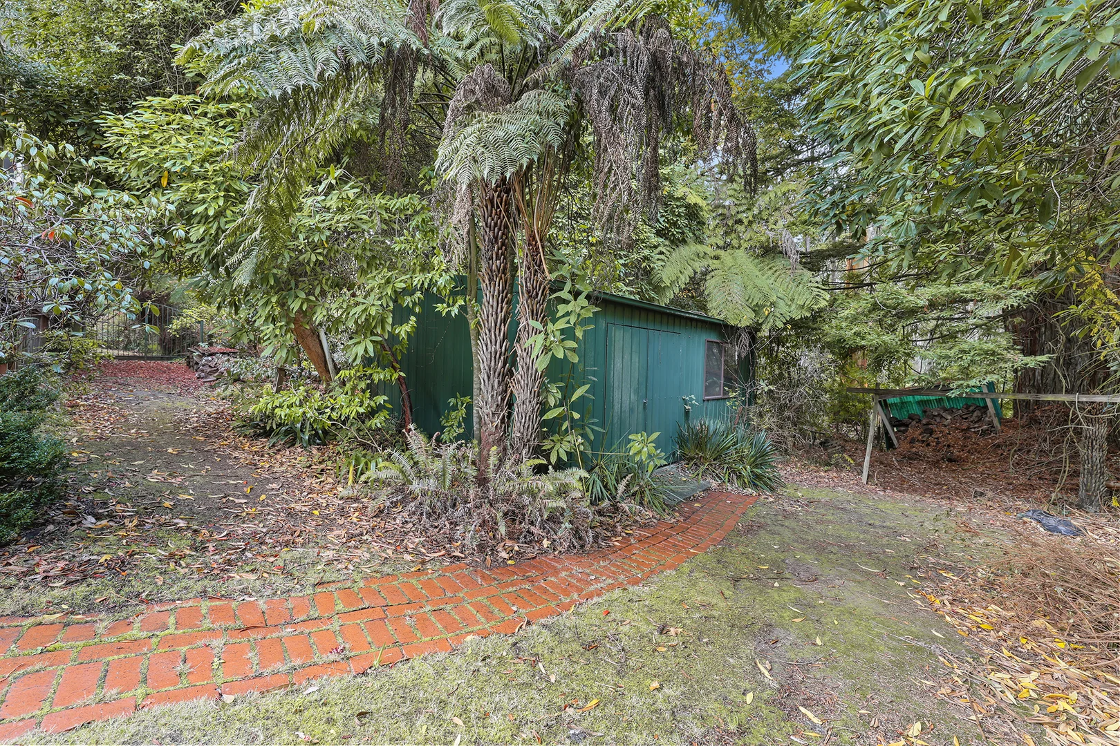 Additional image 18 of 293-295 Mt Baw Baw Tourist Road, Noojee VIC 3833