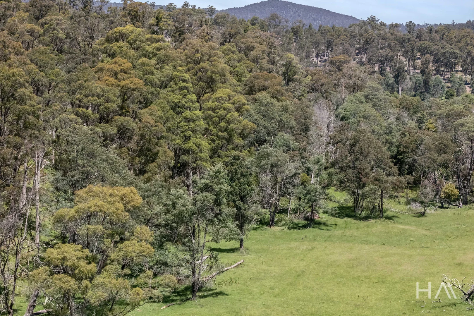 Additional image 22 of English Town Road, Deddington TAS 7212