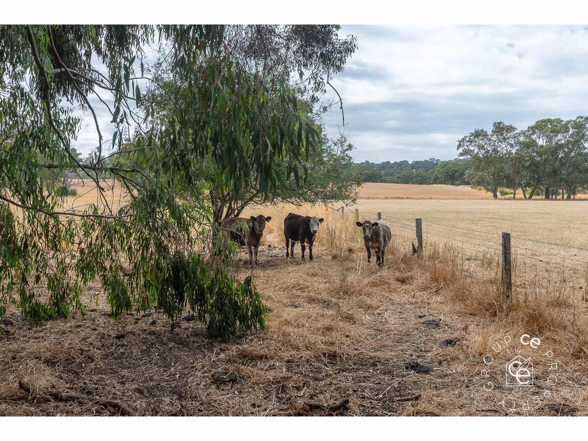 Additional image 32 of 30a Posen Road, Birdwood SA 5234