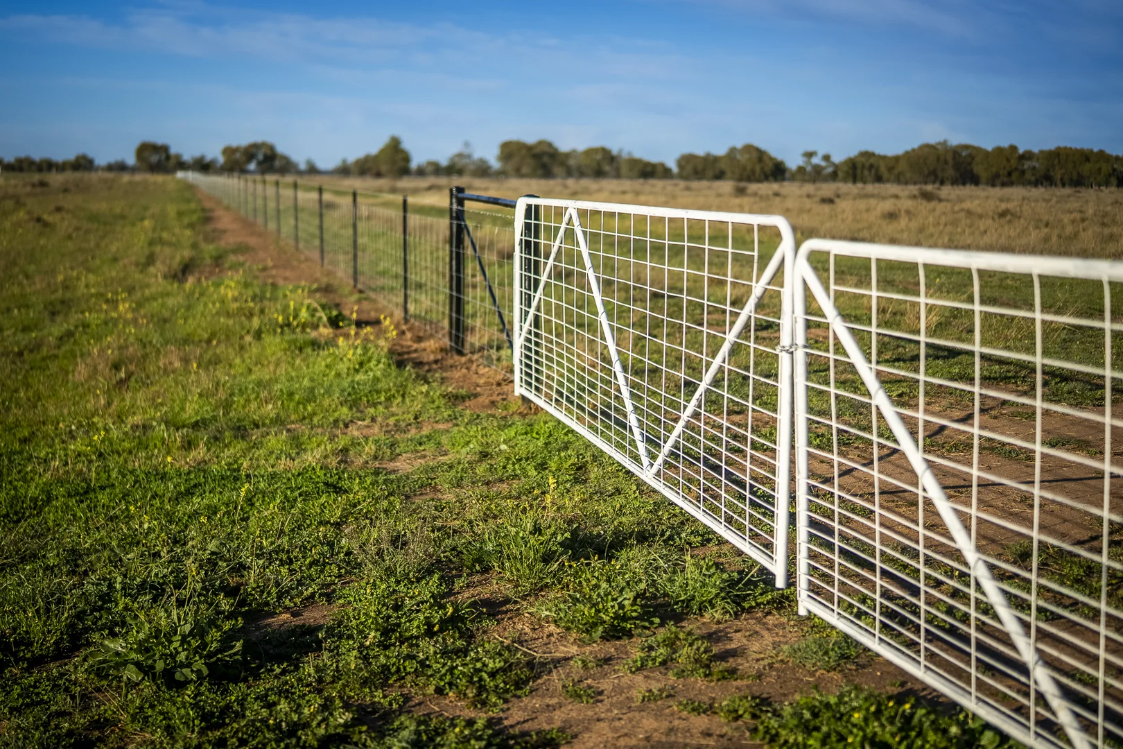 Additional image 26 of Bourbah 2598 Warren Road, Gulargambone NSW 2828