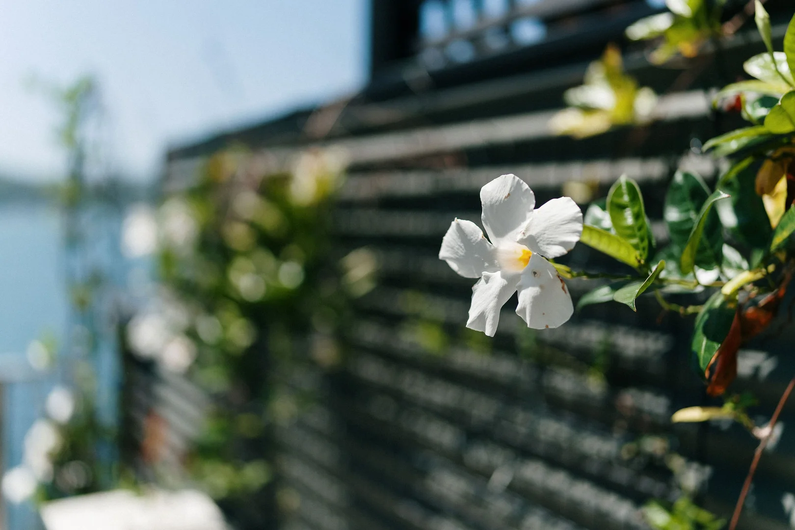 Additional image 27 of 71 Wagstaffe Avenue, Wagstaffe NSW 2257