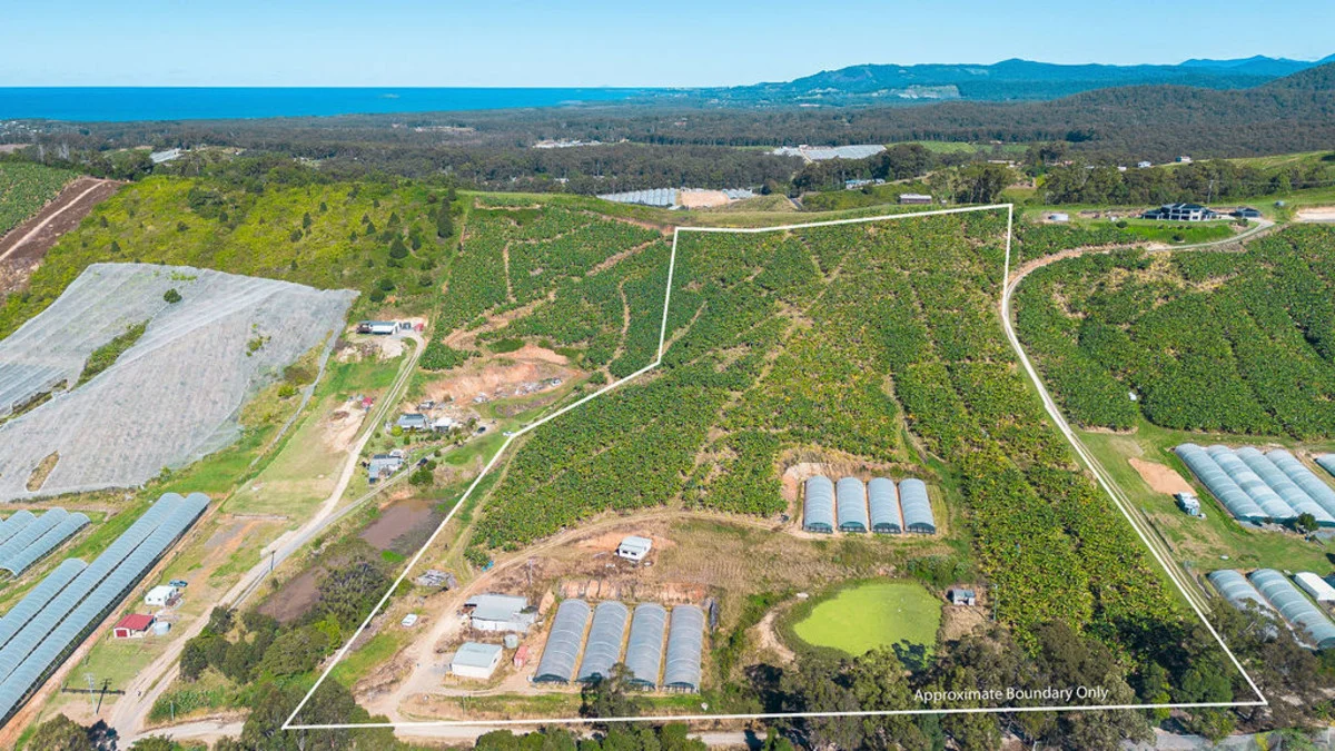 Additional image 5 of 20 Puhos Road, Sandy Beach NSW 2456