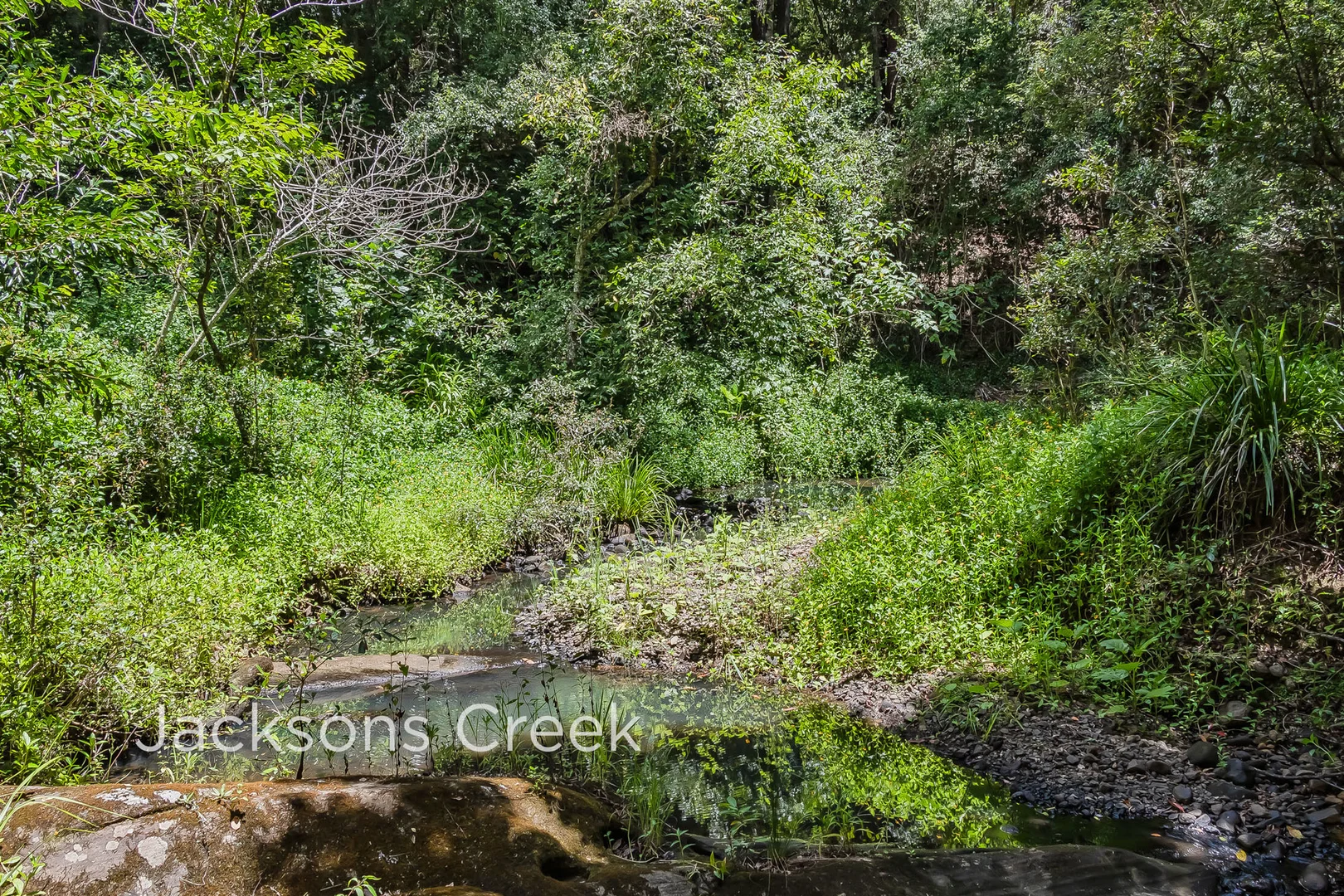 Additional image 12 of 270 Zara Road, Zara NSW 2484