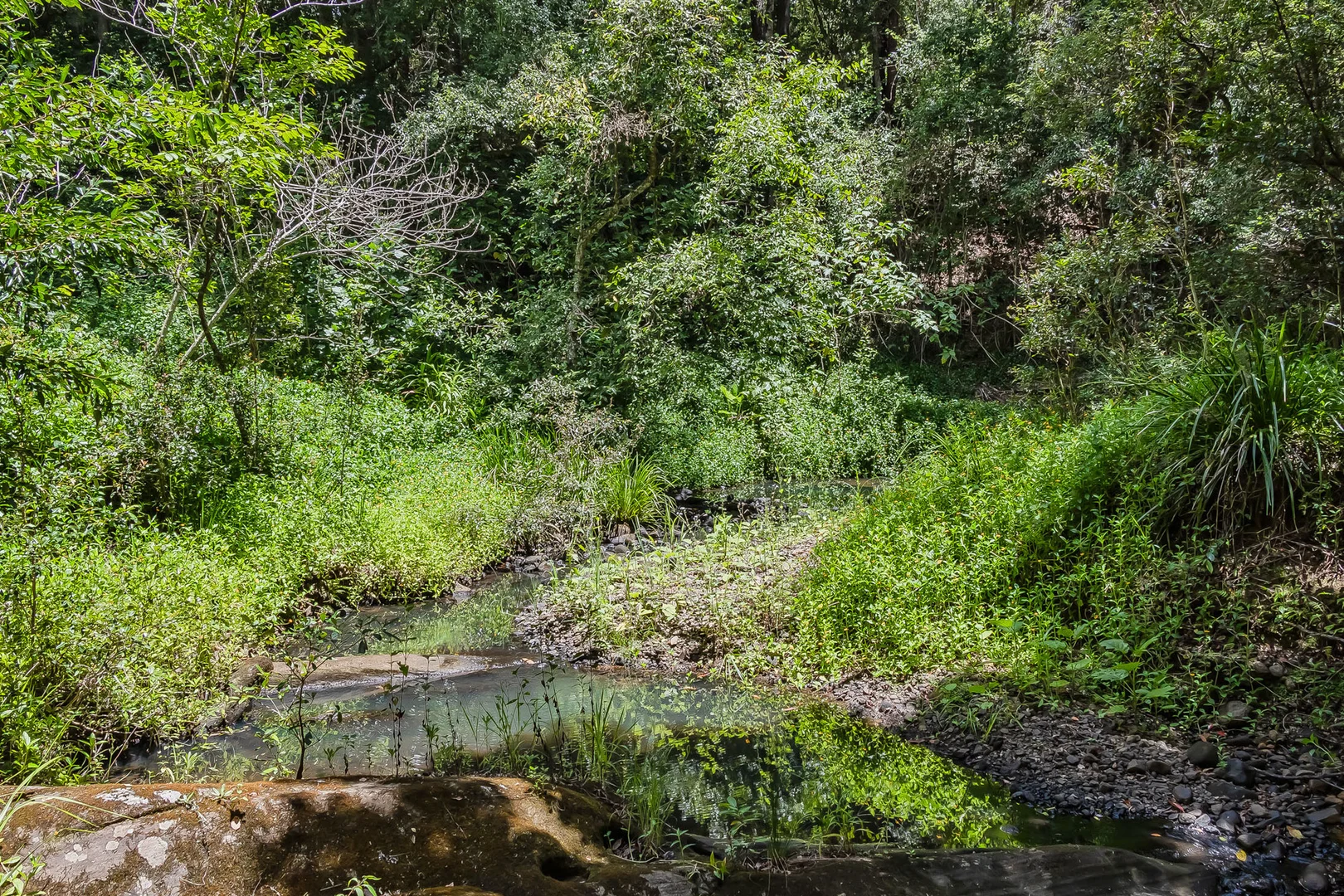 Additional image 24 of 270 Zara Road, Zara NSW 2484