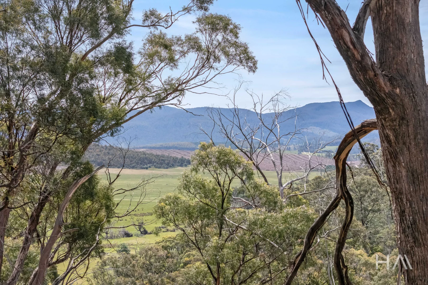 Additional image 19 of English Town Road, Deddington TAS 7212