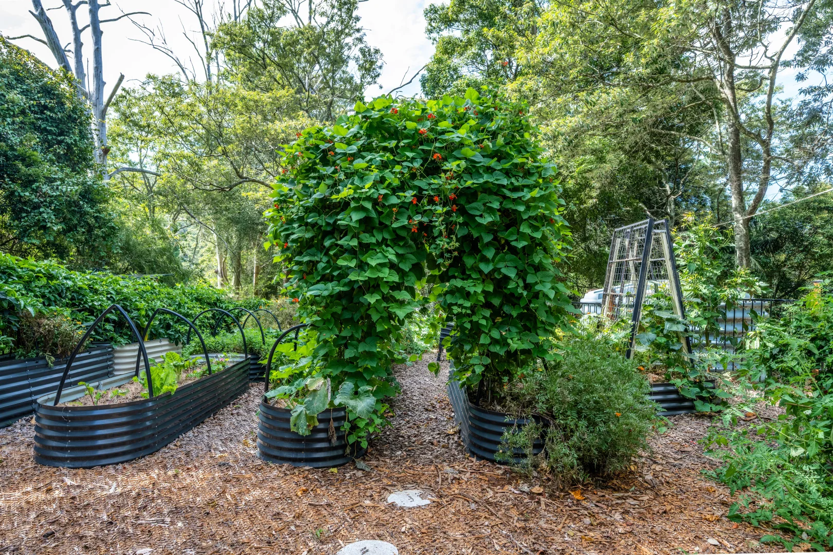 Additional image 20 of 306 Oak Road, Matcham NSW 2250