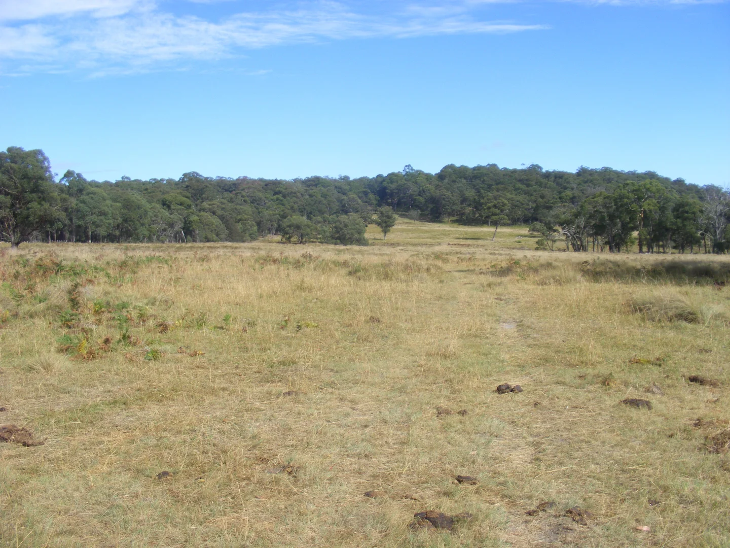 Additional image 18 of 618 Coopers Road, Red Range NSW 2370