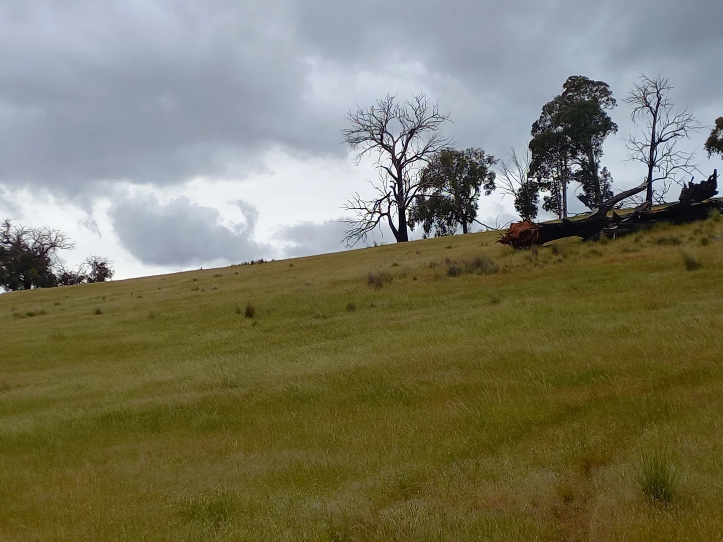 Additional image 11 of Lot 10/714 Yenschs Road, Lankeys Creek NSW 2644