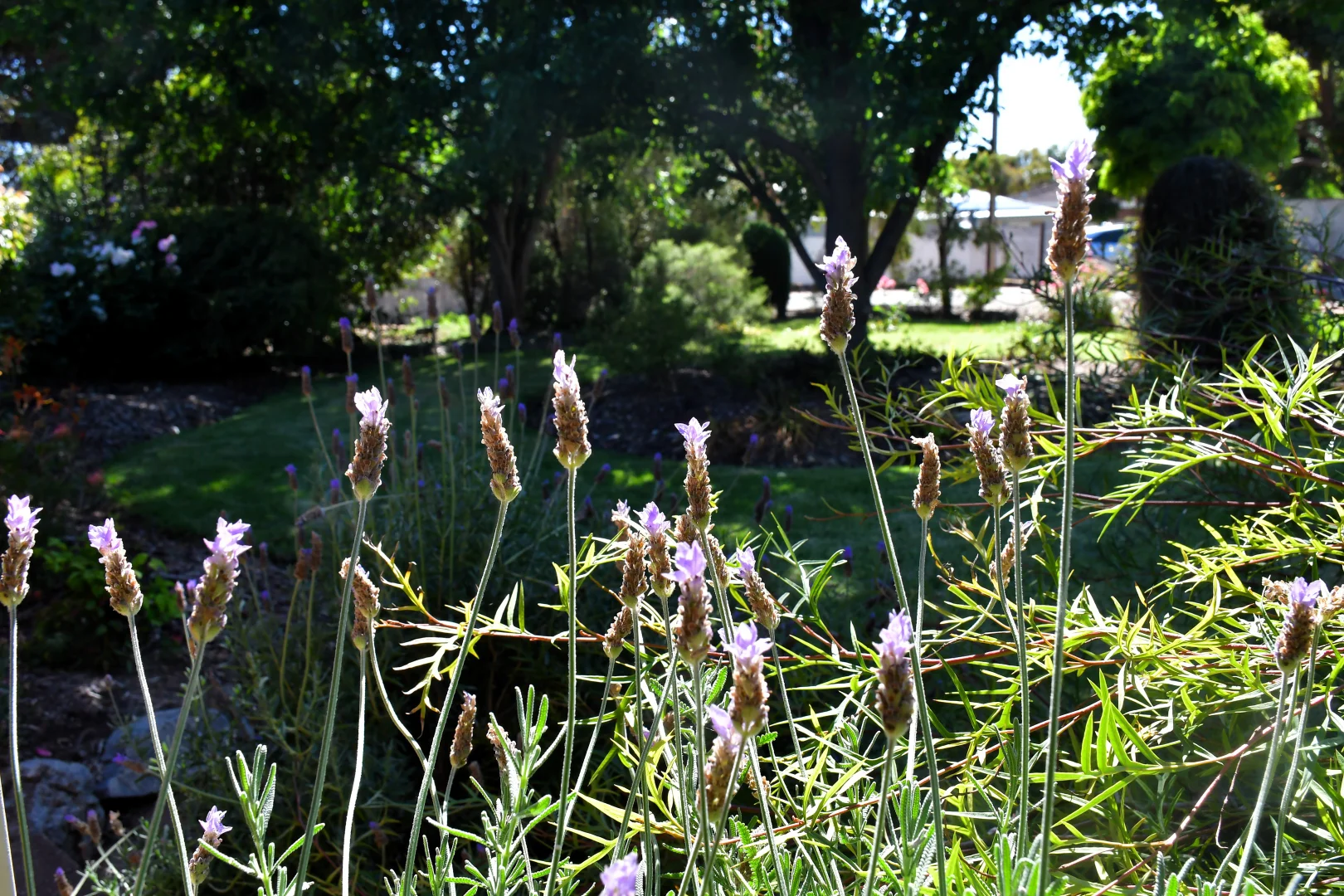 Additional image 2 of 10 Searle Street, Melrose SA 5483