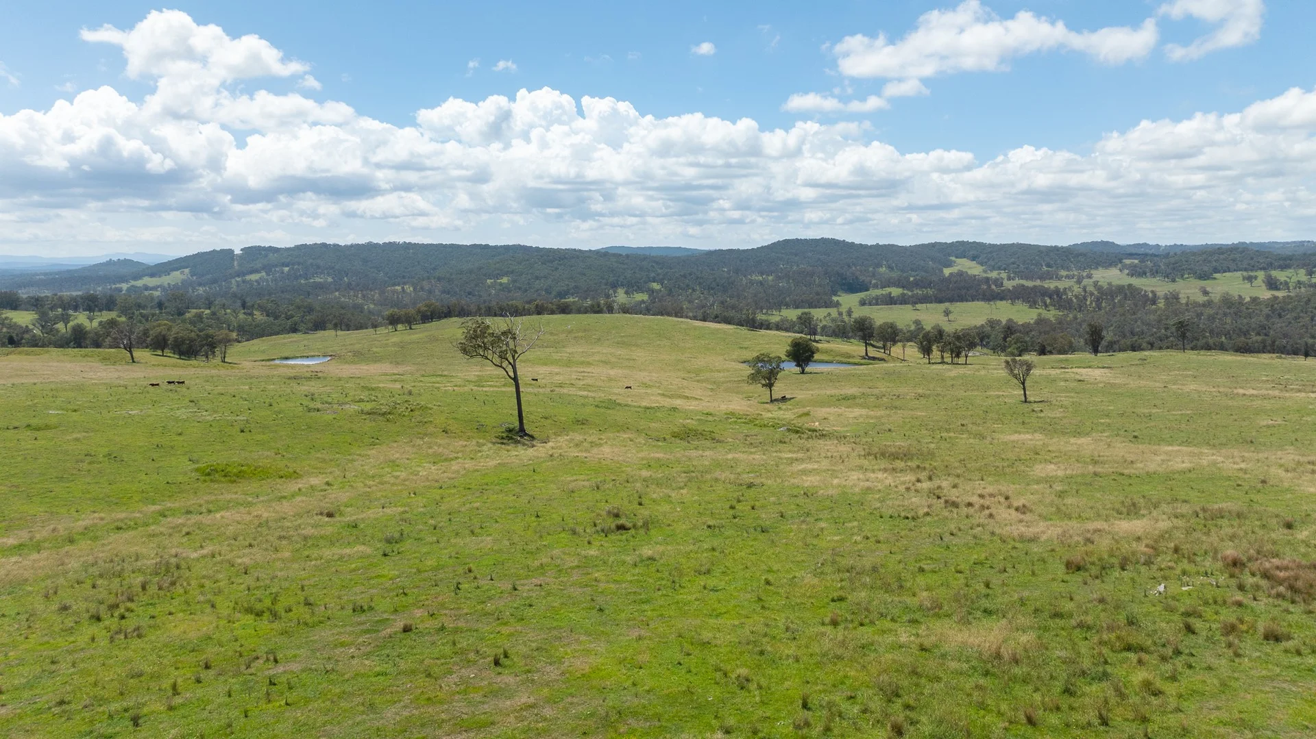 "Glen Bluff" 222 Riverview Road, Wards Mistake NSW 2350