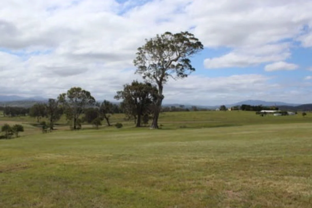 15 Newlyns Place, Frogs Hollow NSW 2550