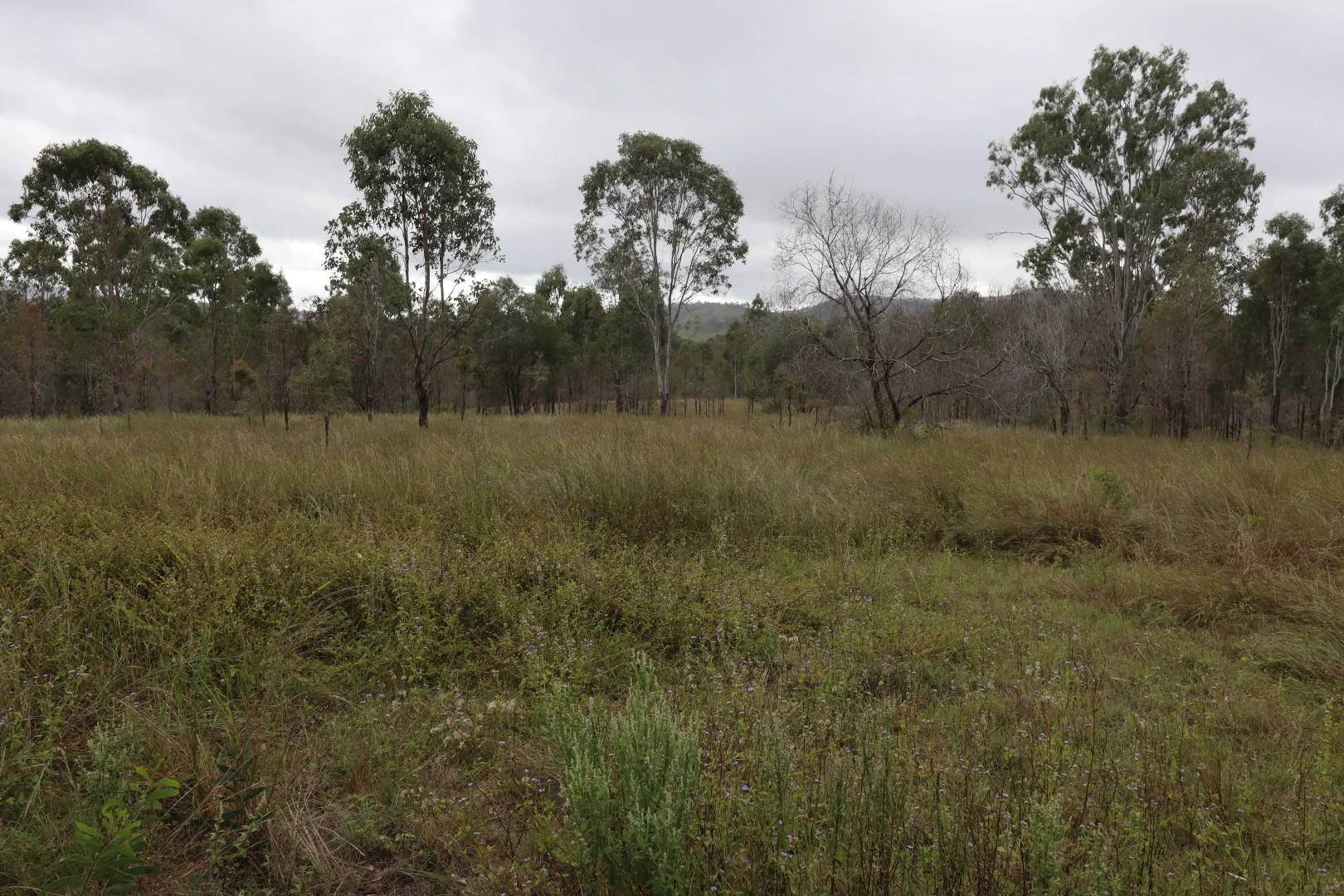 Additional image 2 of LOT 60 Swindon Road, Mount Perry QLD 4671