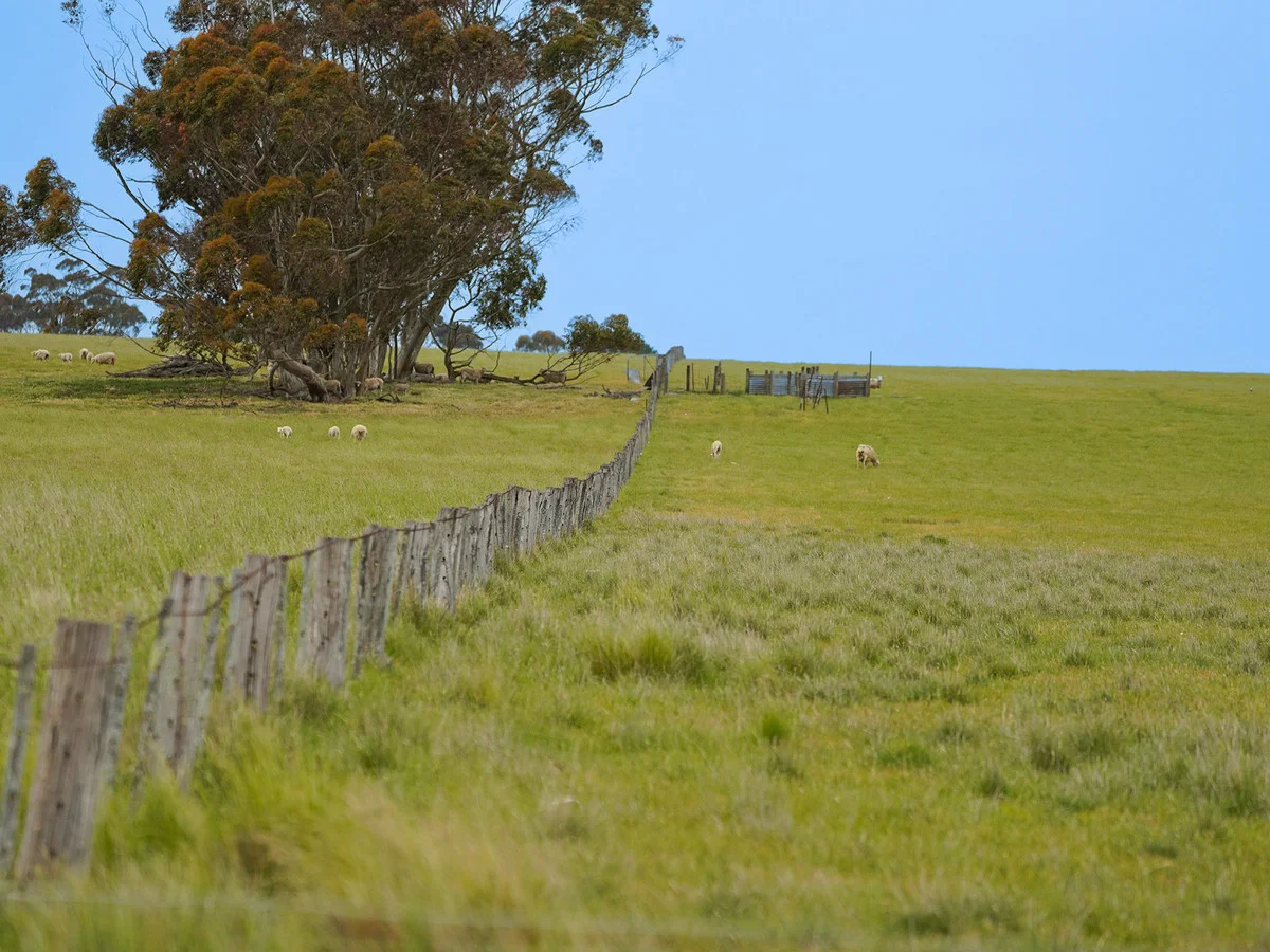 Additional image 12 of Huf's Back Lane, Warrayure VIC 3301