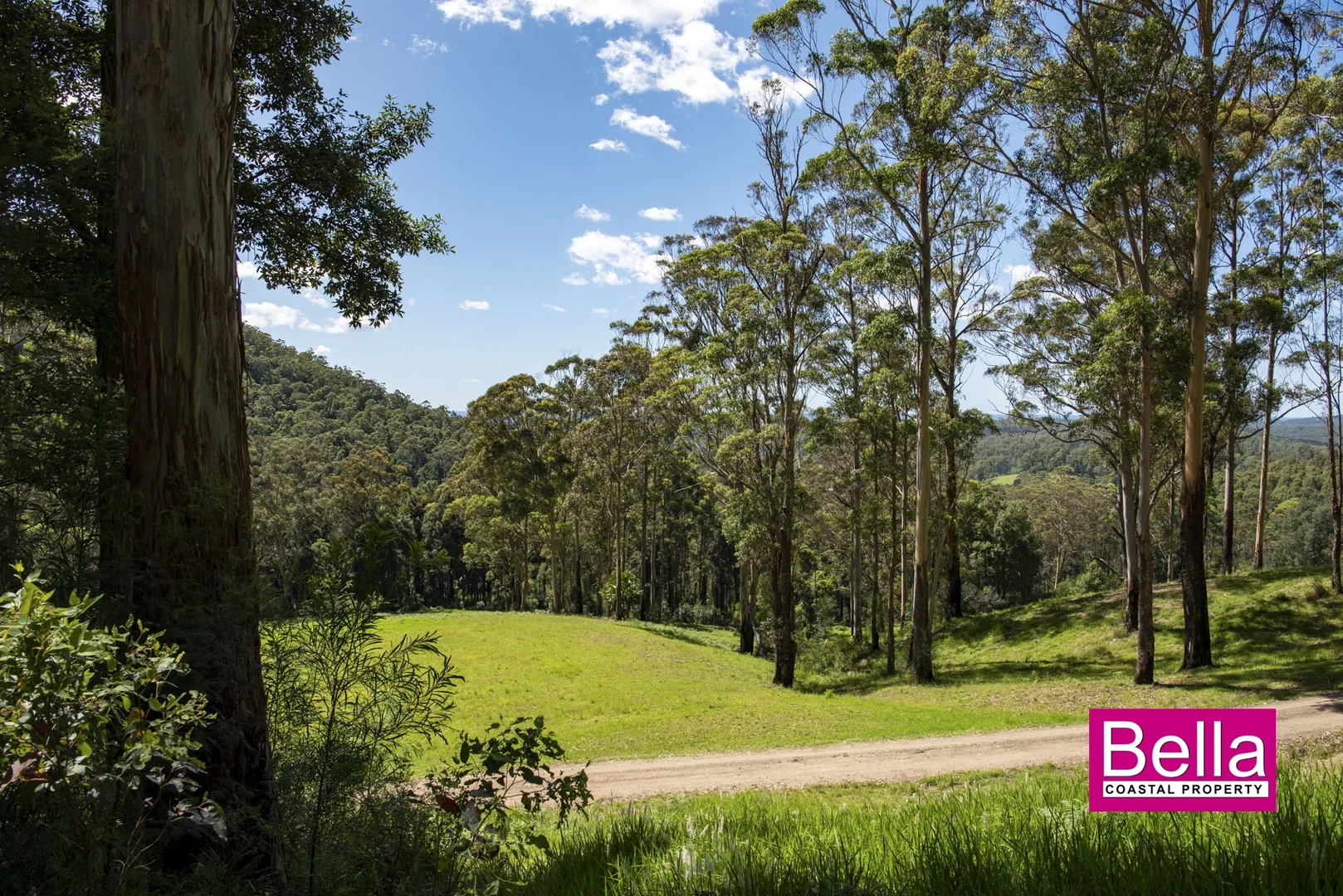 Additional image 10 of Lot 1 Monkey Mountain Road, Termeil NSW 2539